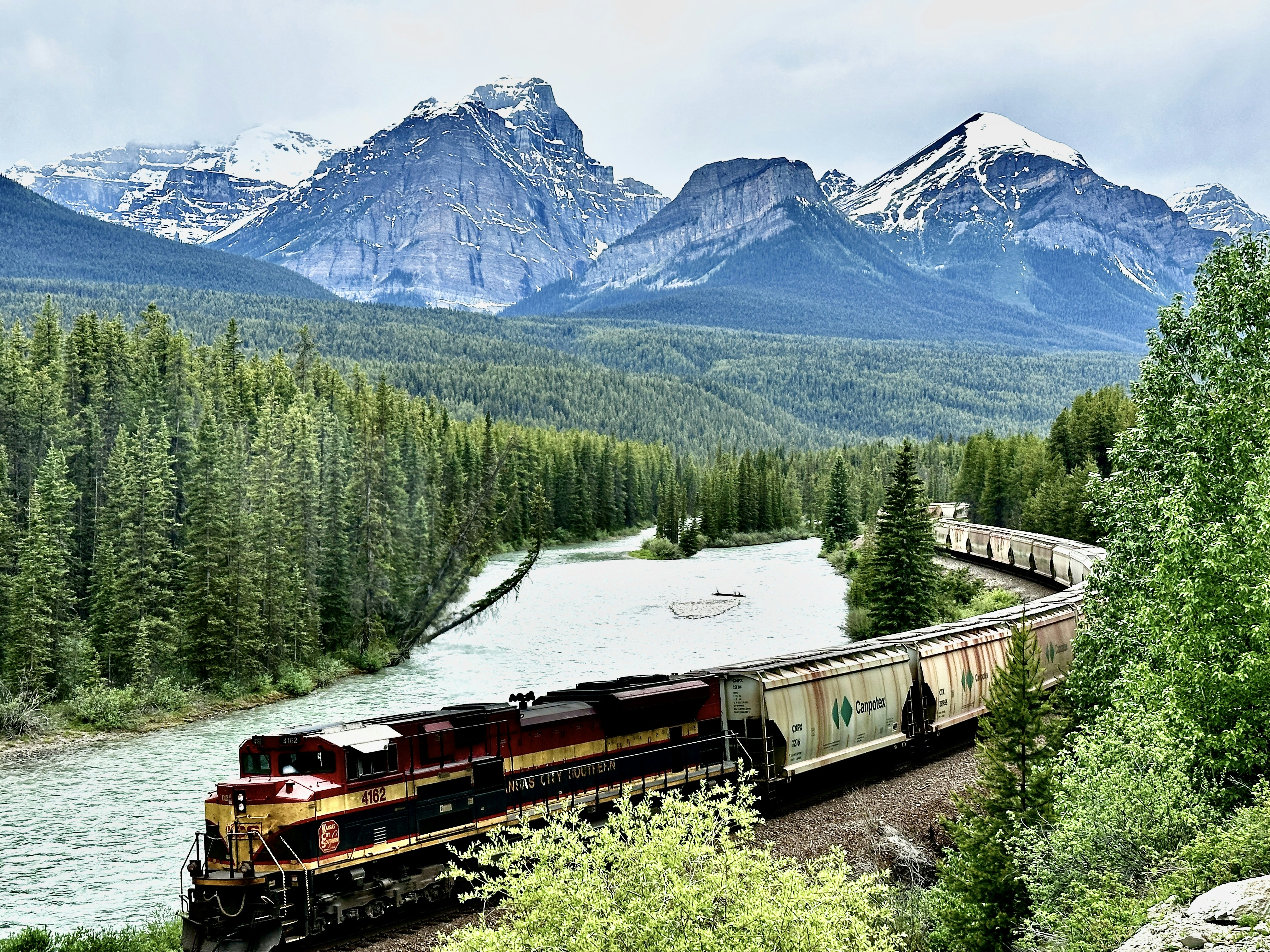 A train traveling through a lush green forest