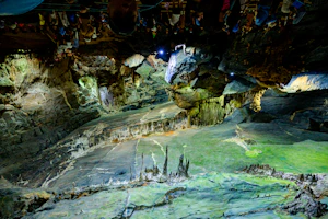 Phong Nha