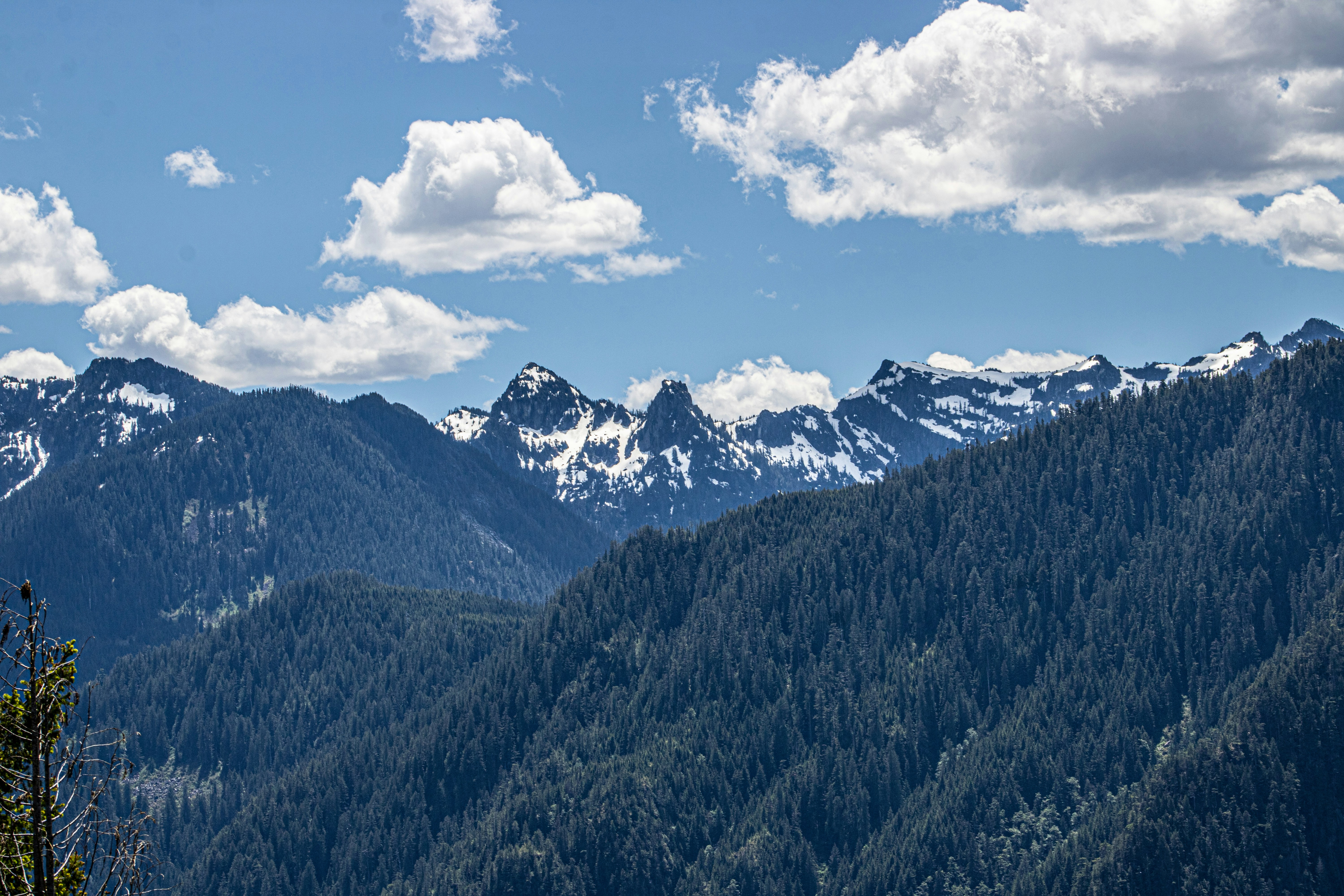 Photo by prphotography262