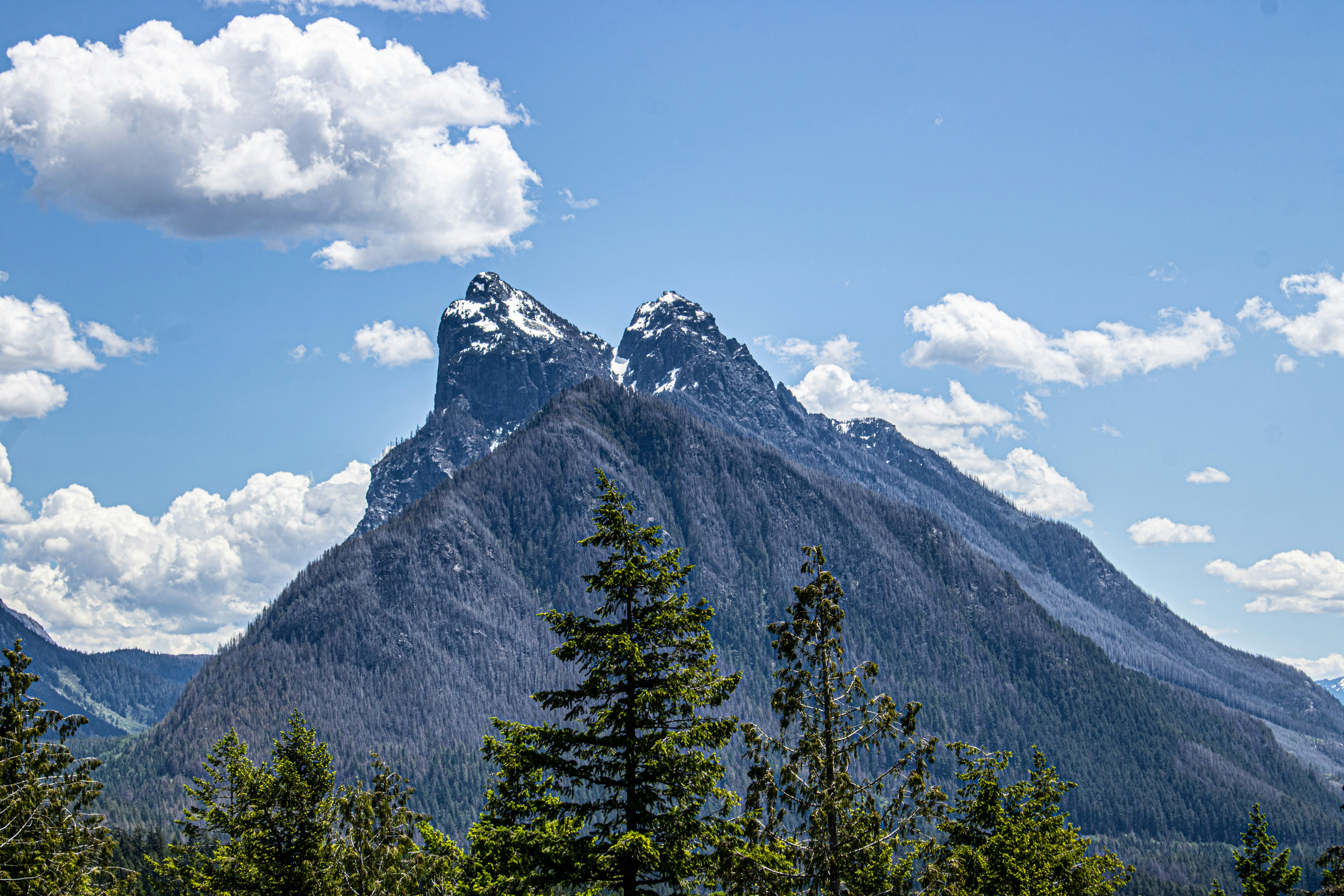 Photo by prphotography262