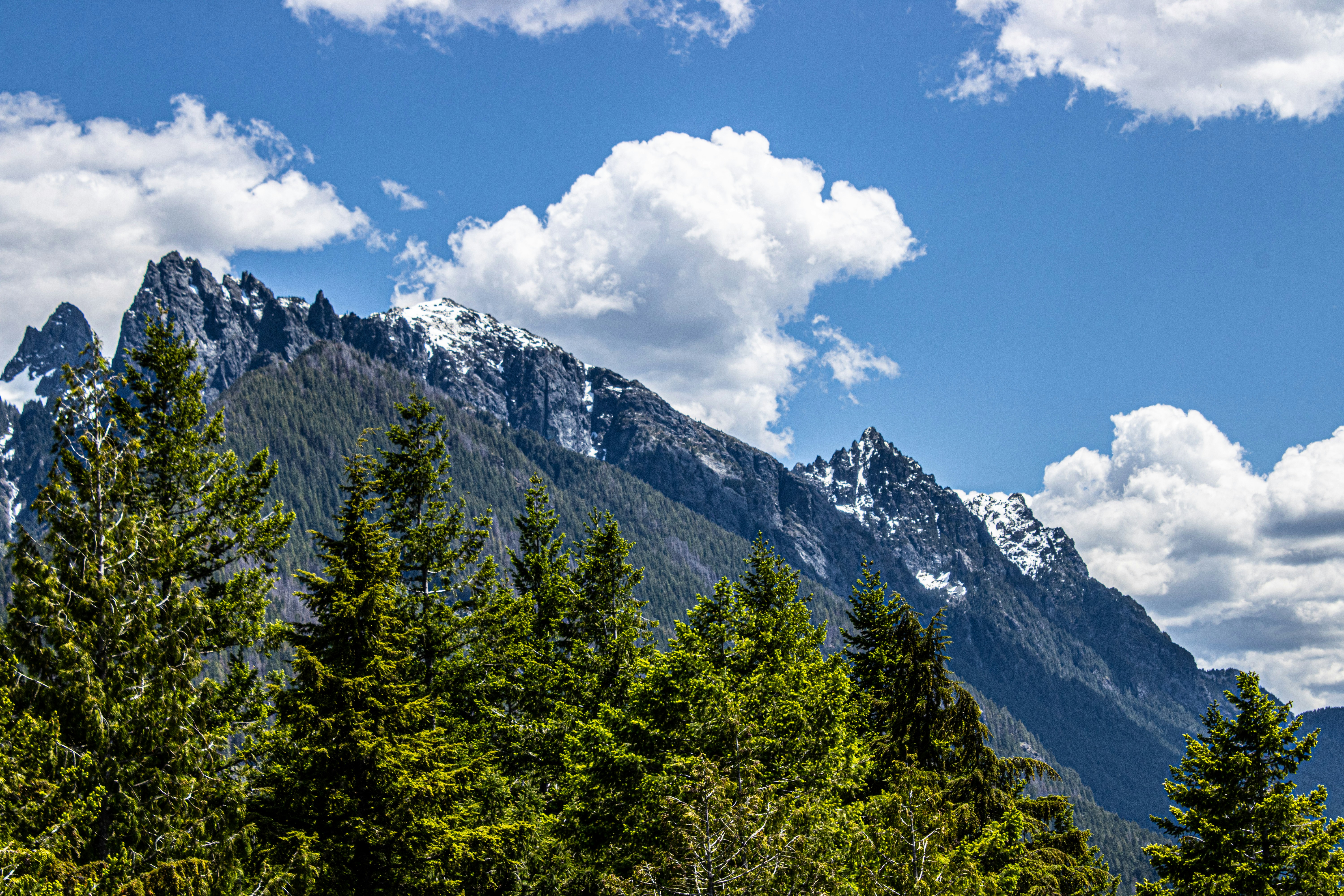 Photo by prphotography262