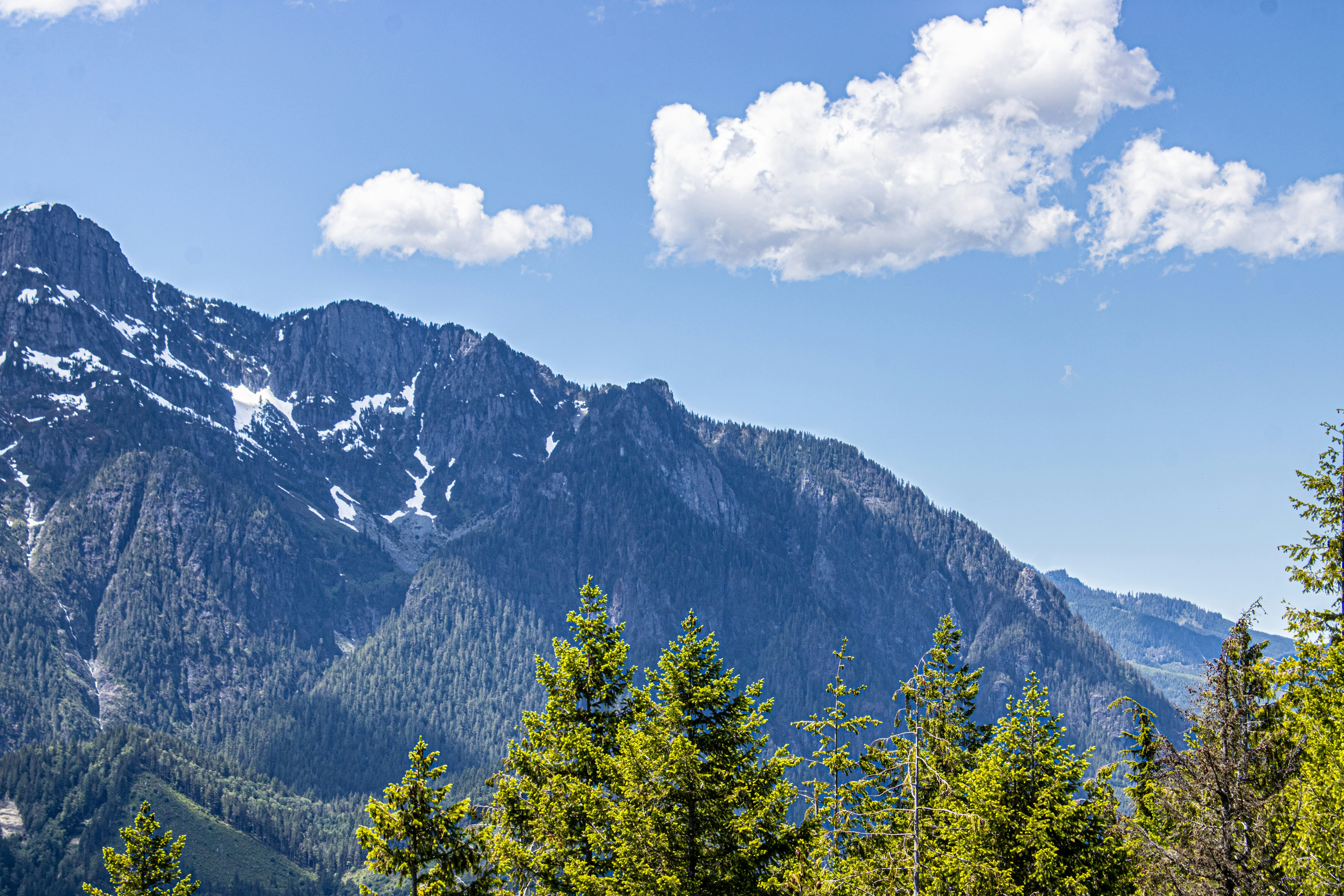 Photo by prphotography262