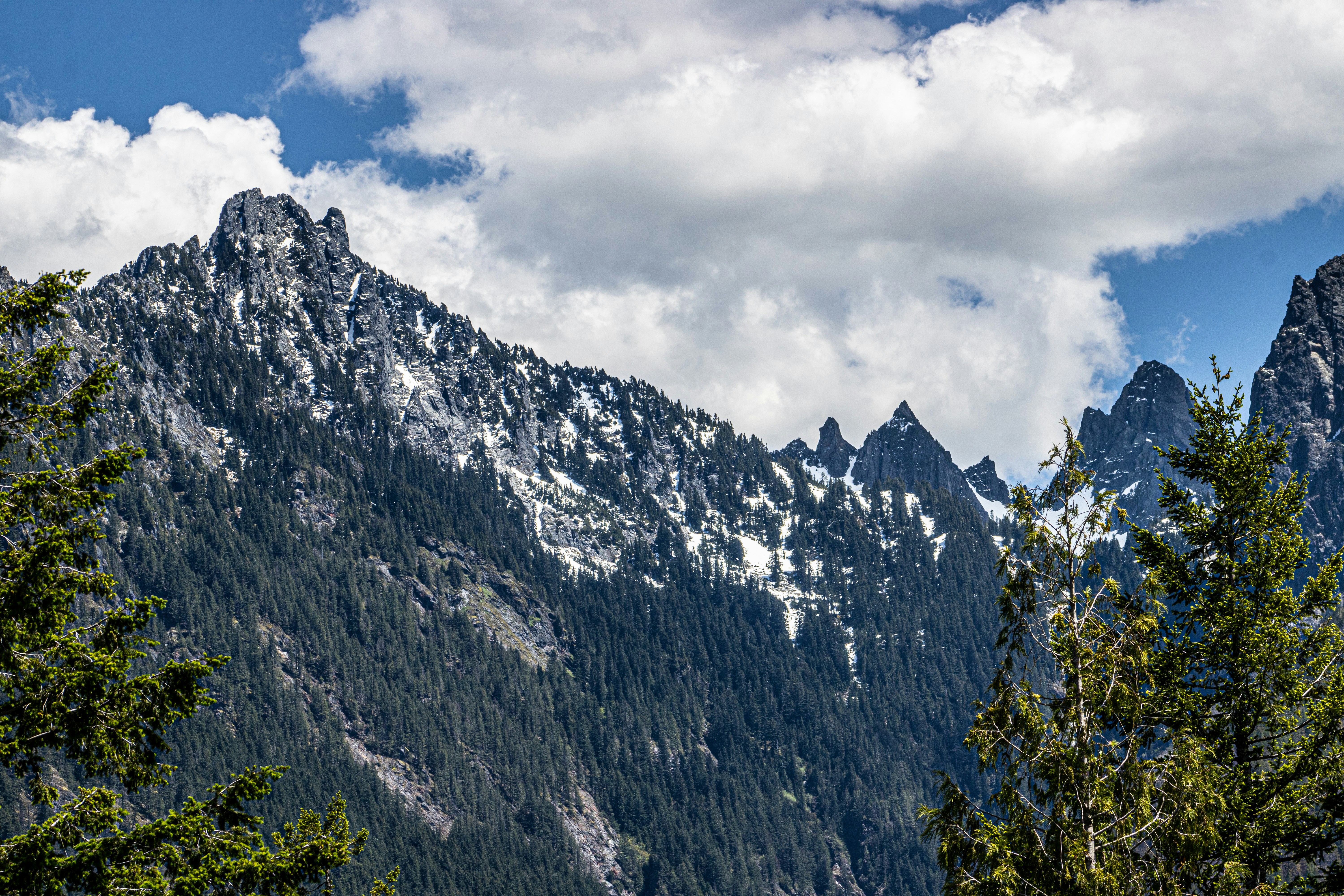 Photo by prphotography262