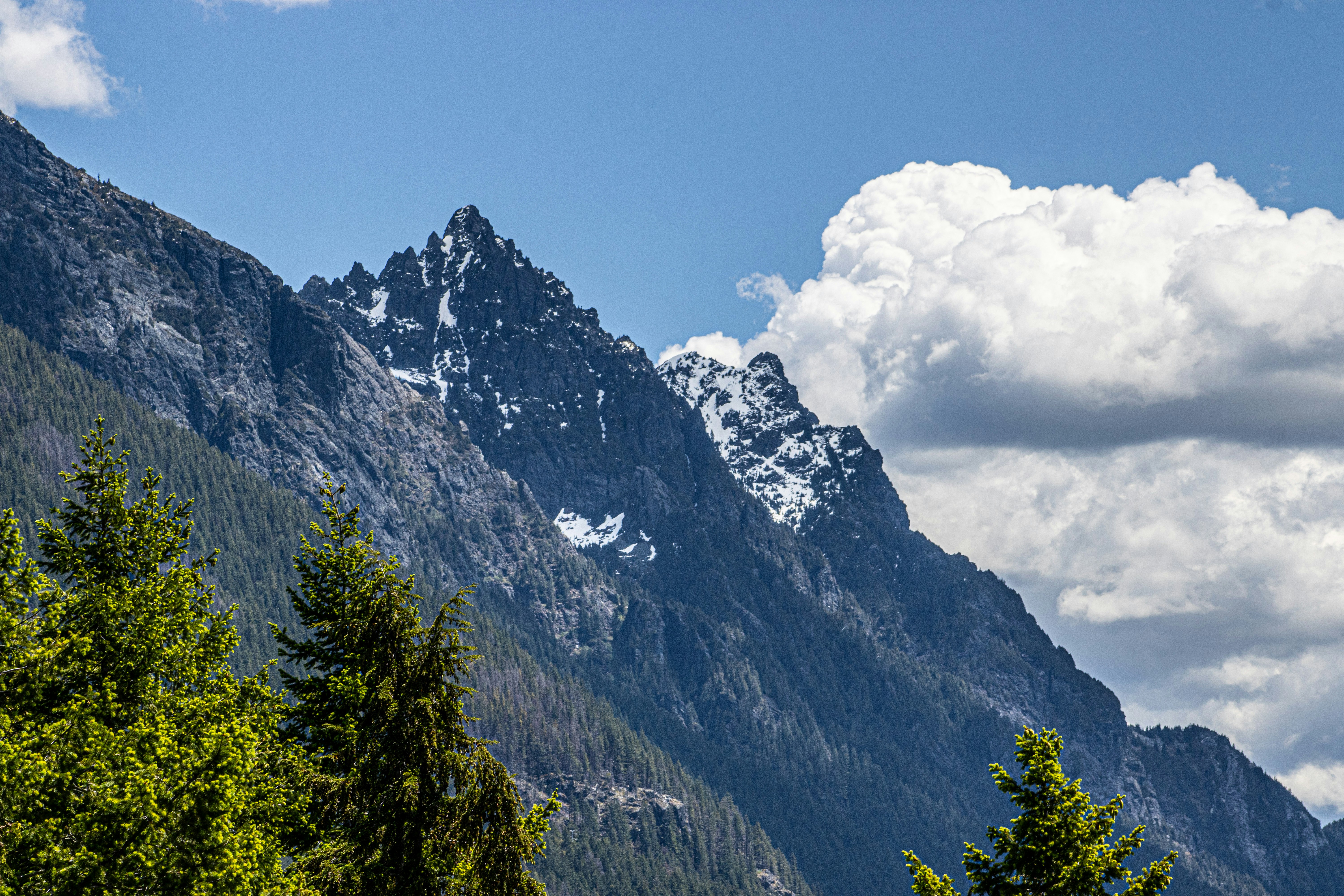 ISM Manufacturing Index [2025-04-15]