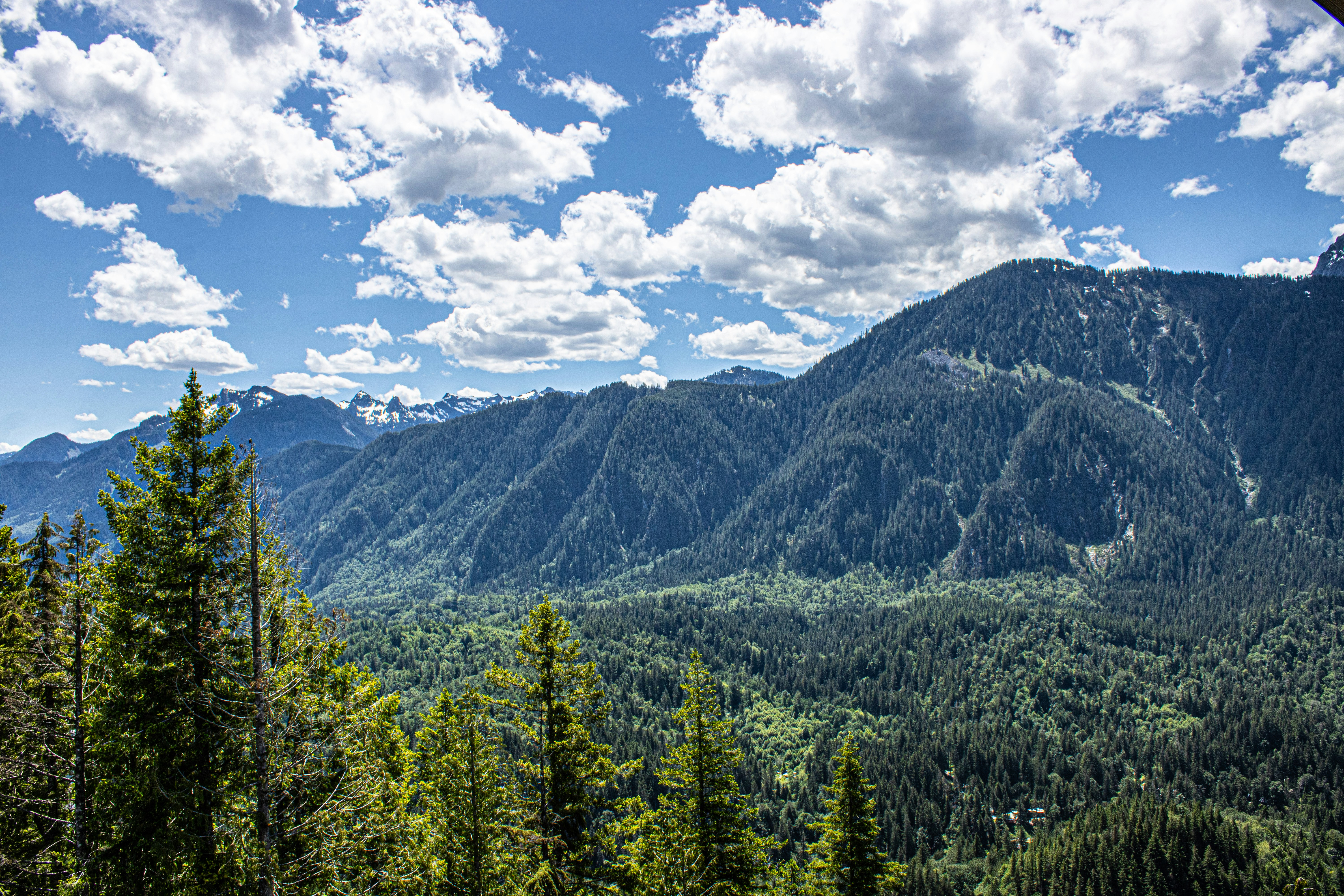 Photo by prphotography262