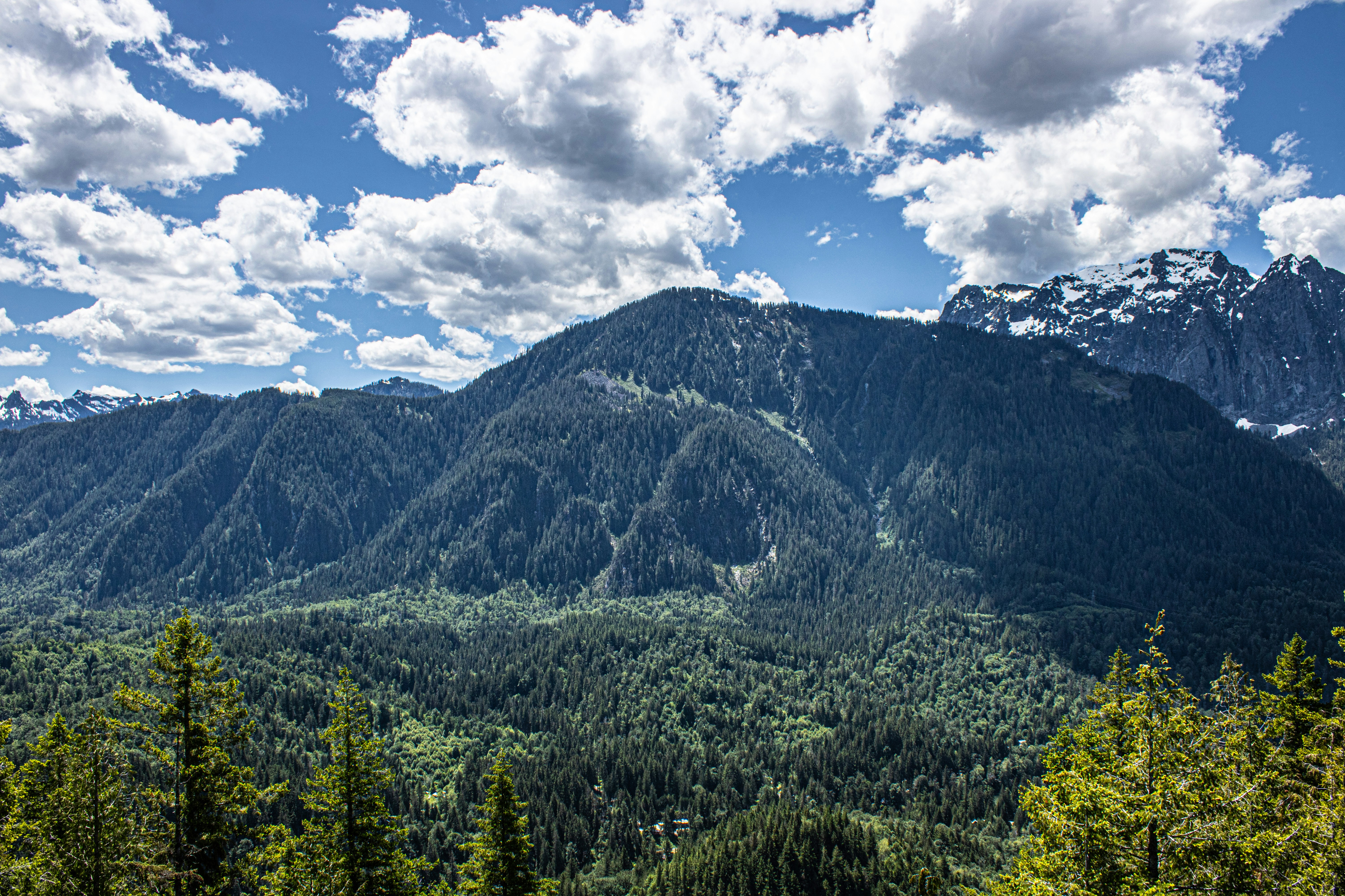 Photo by prphotography262