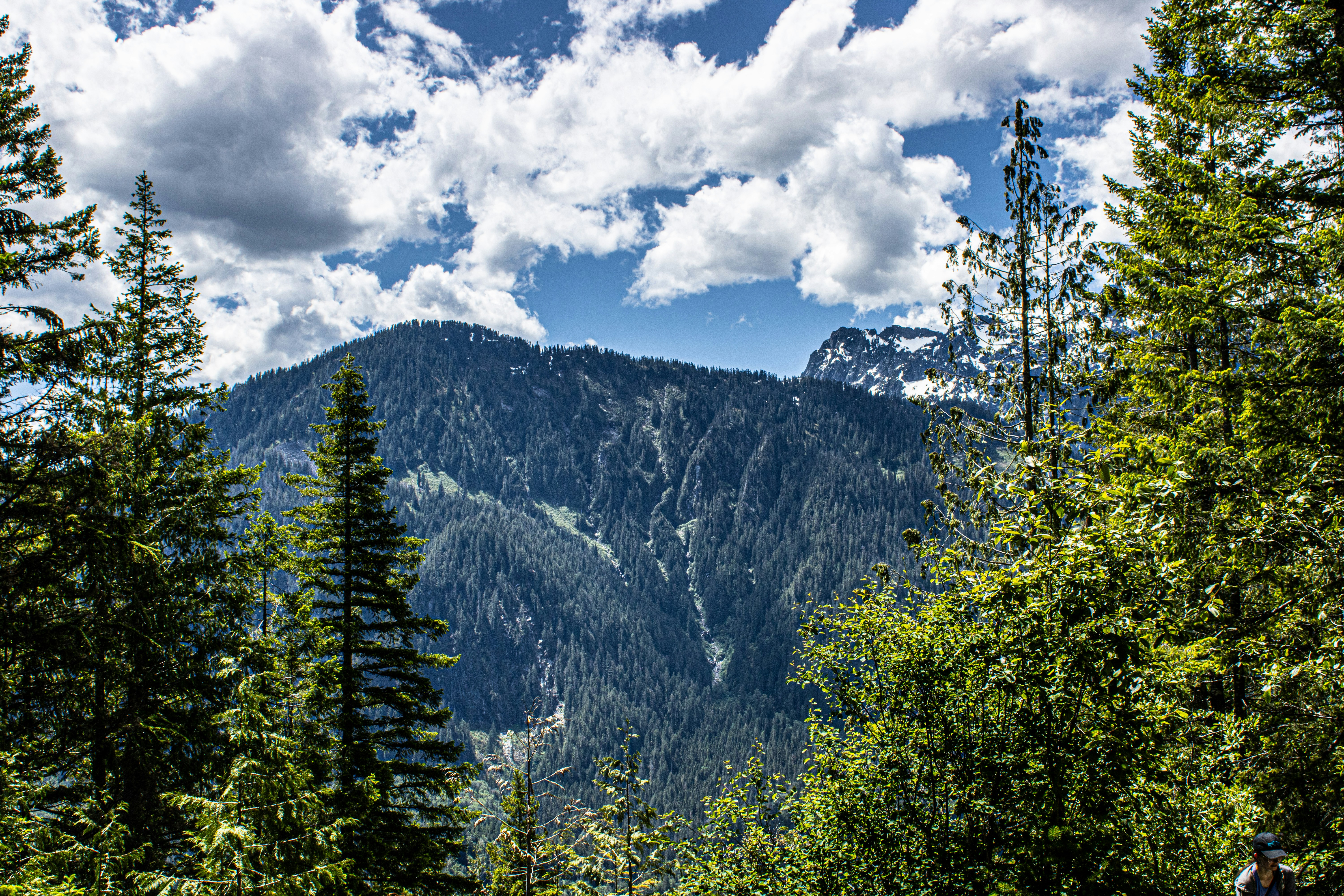 Photo by prphotography262