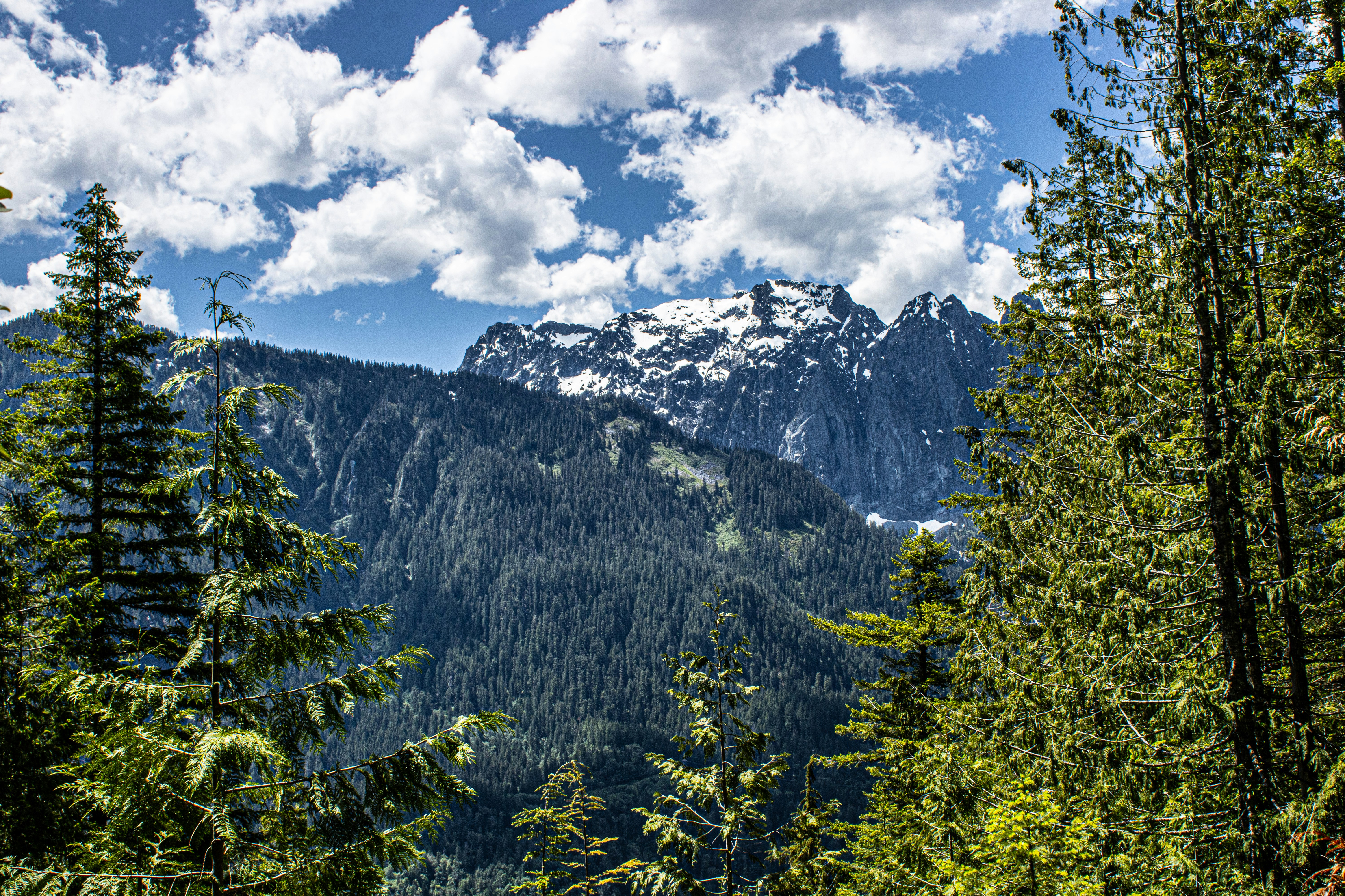 Photo by prphotography262