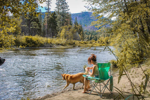 A woman sitting on a chair next to a dog
