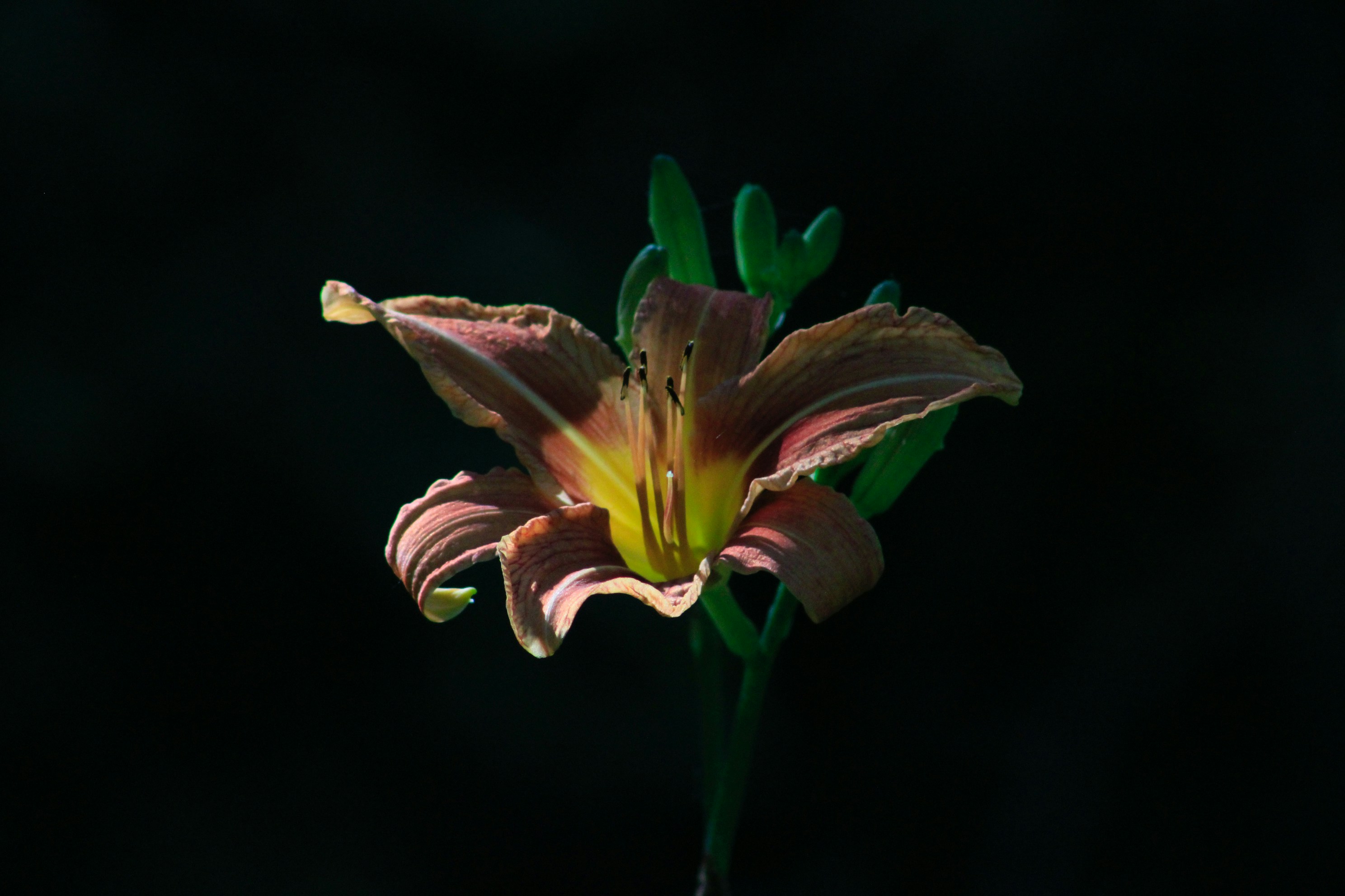 Photo by lisa_duqlaw