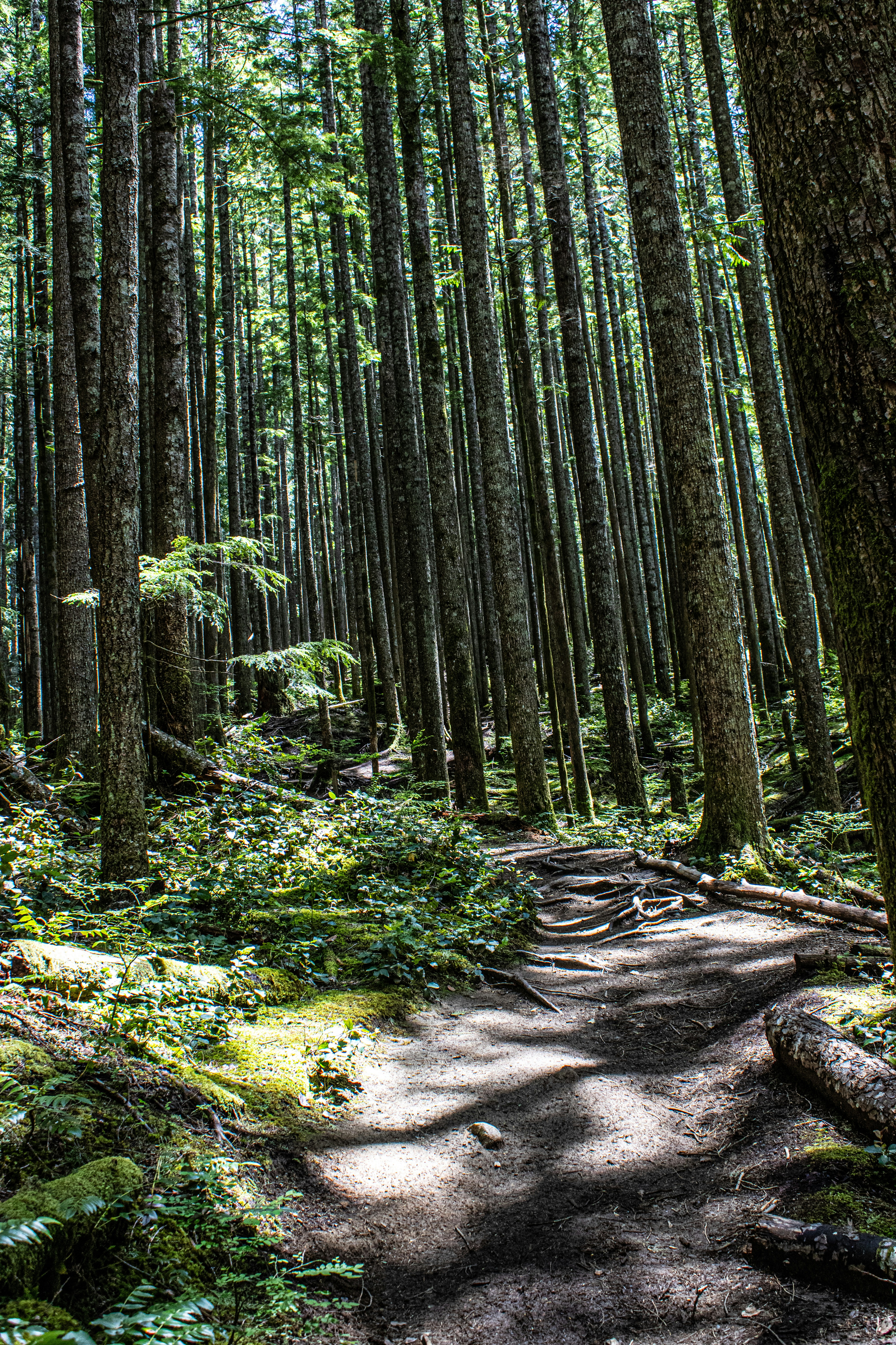 Photo by prphotography262