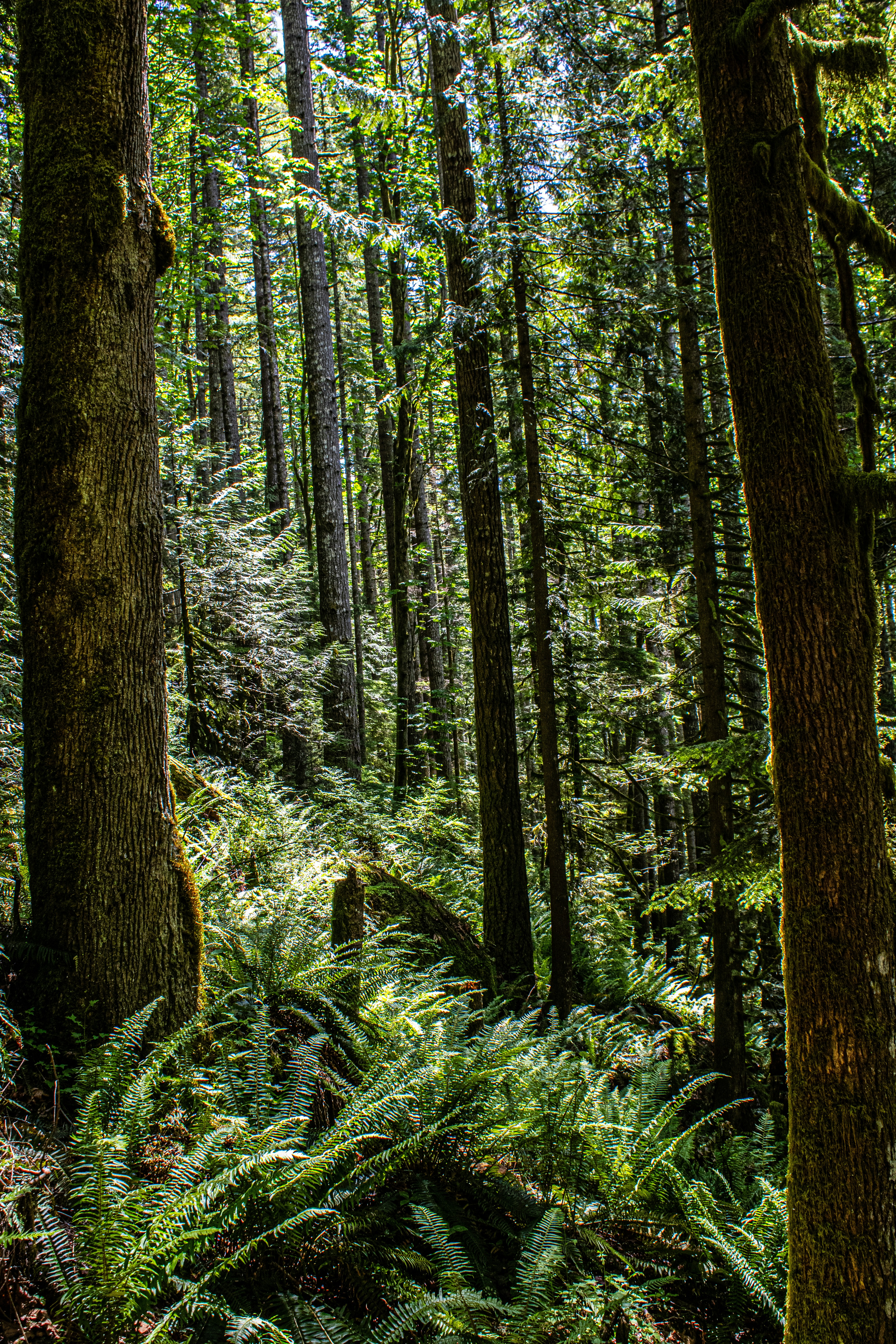 Photo by prphotography262