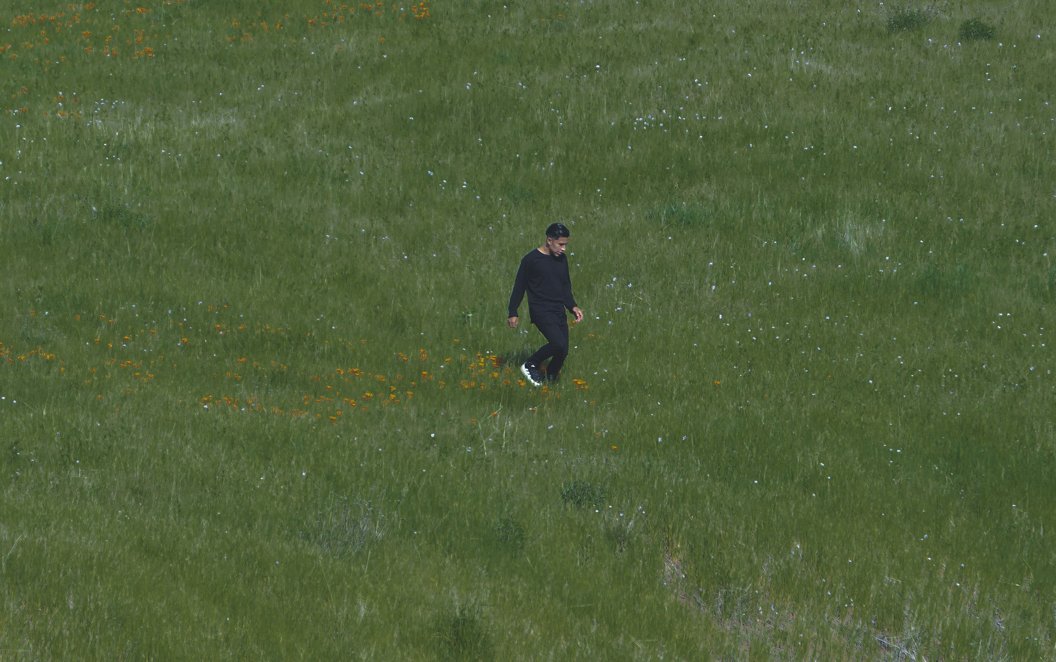 Messi in action on the field