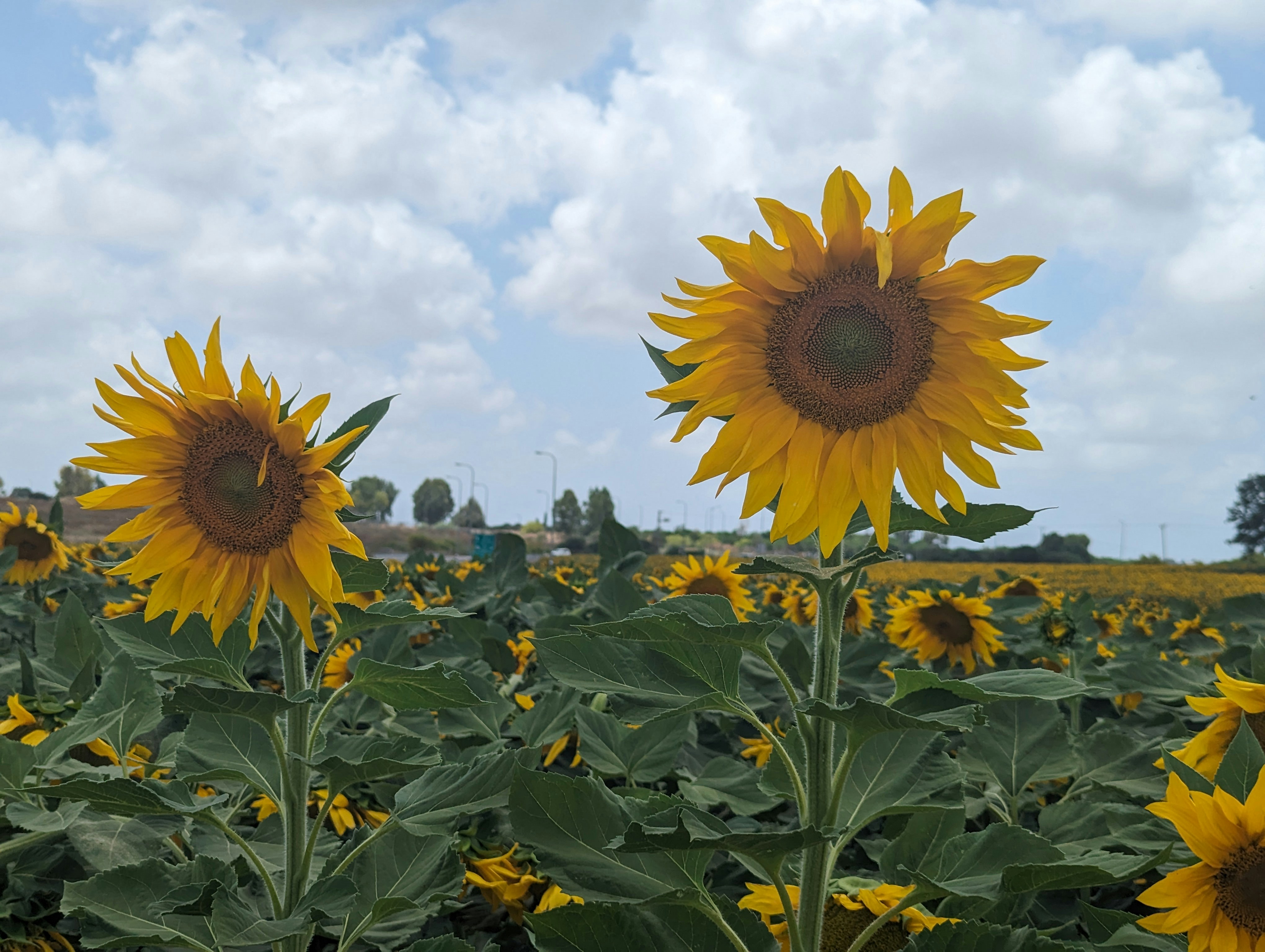 Photo by lifescapturedsparks