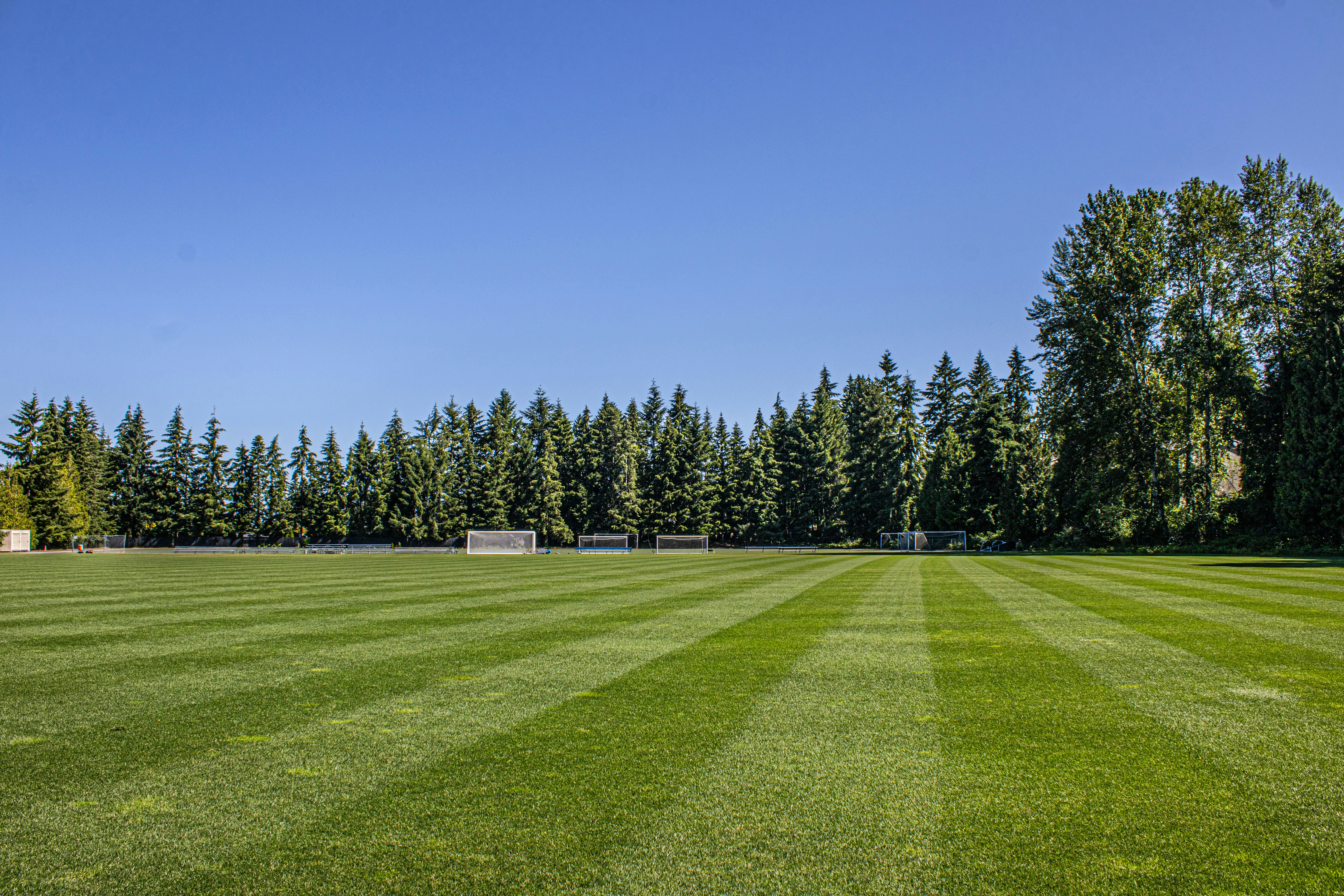 A large grassy field with trees in the background
