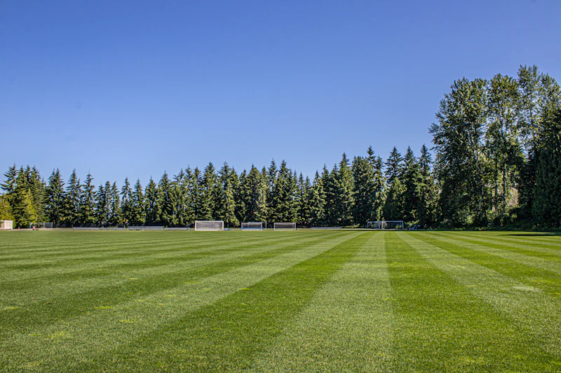 Campo deportivo de césped natural