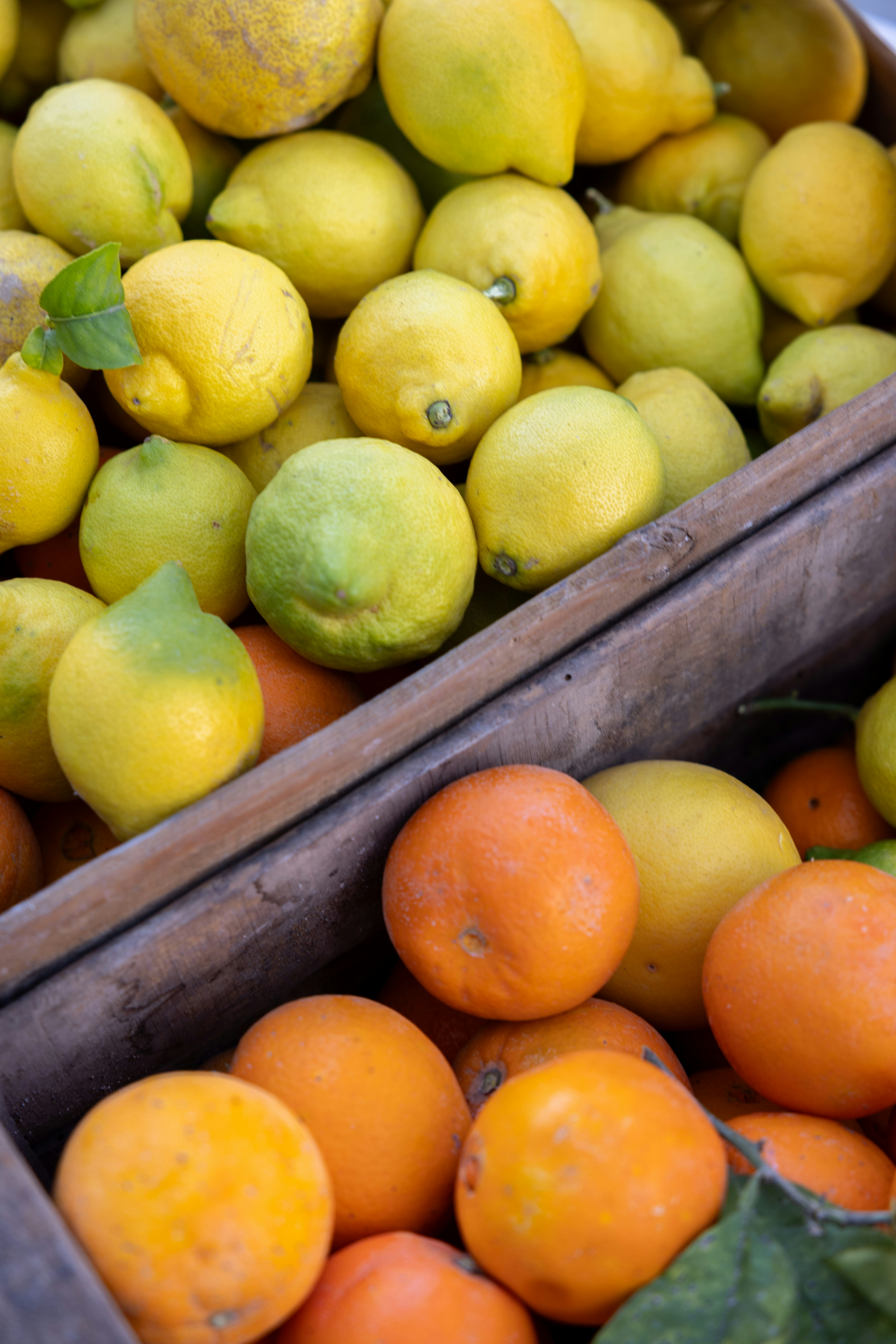 Photo by filipp_roman_photography