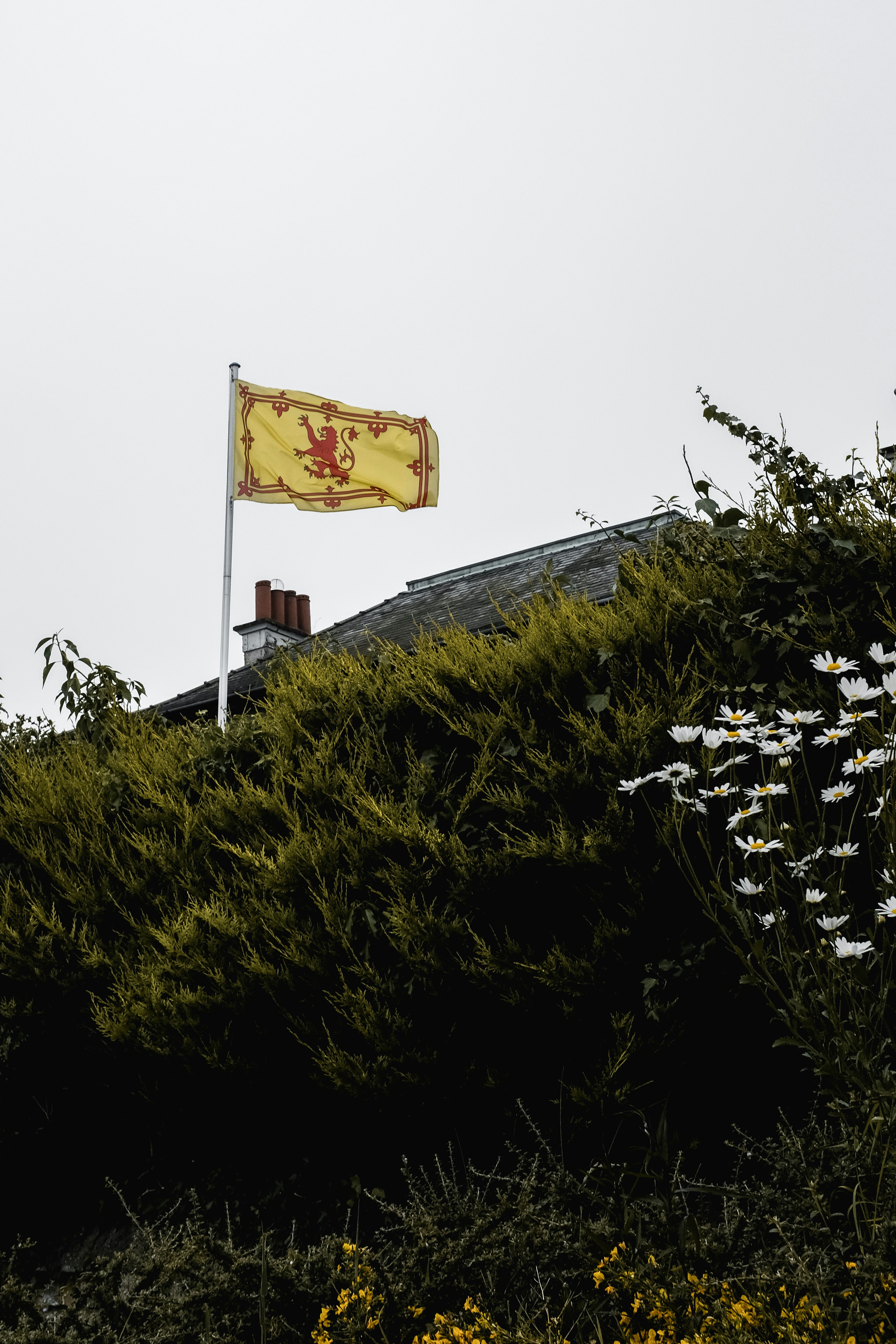 A flag on top of a hill with a building in the background