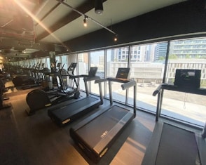 A row of treadmills in a gym