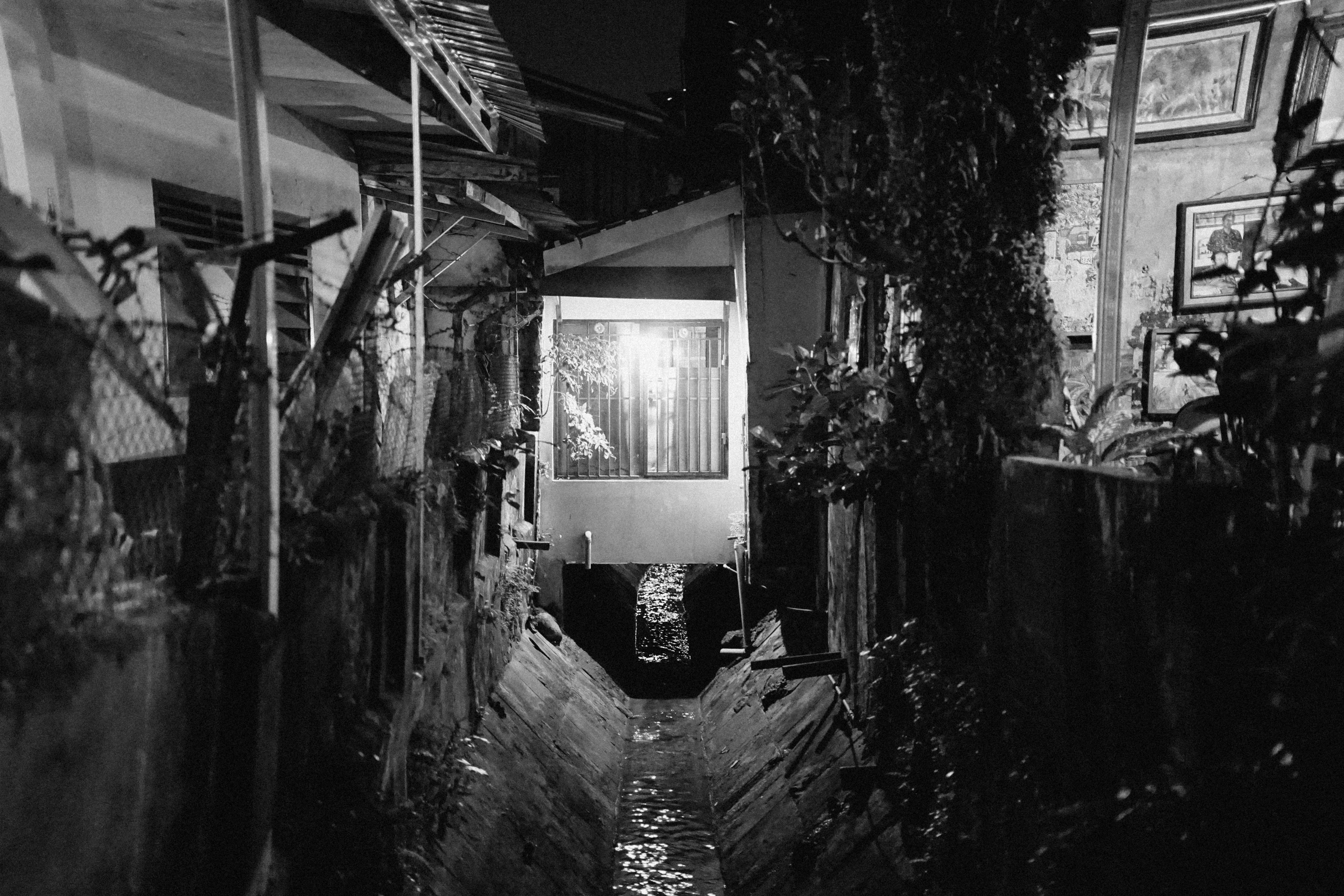 Photo by dispandu