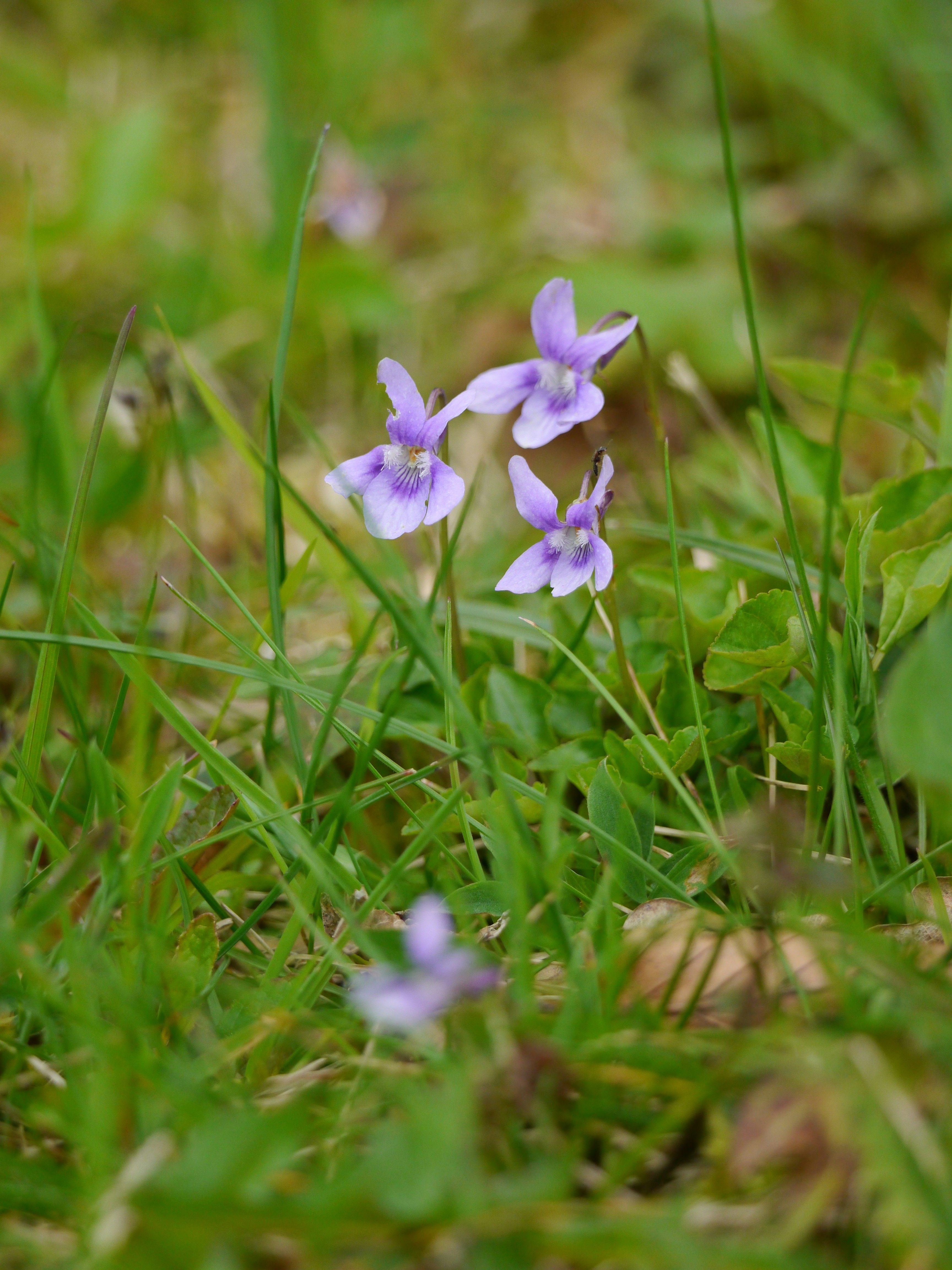 Photo by iqsphotography