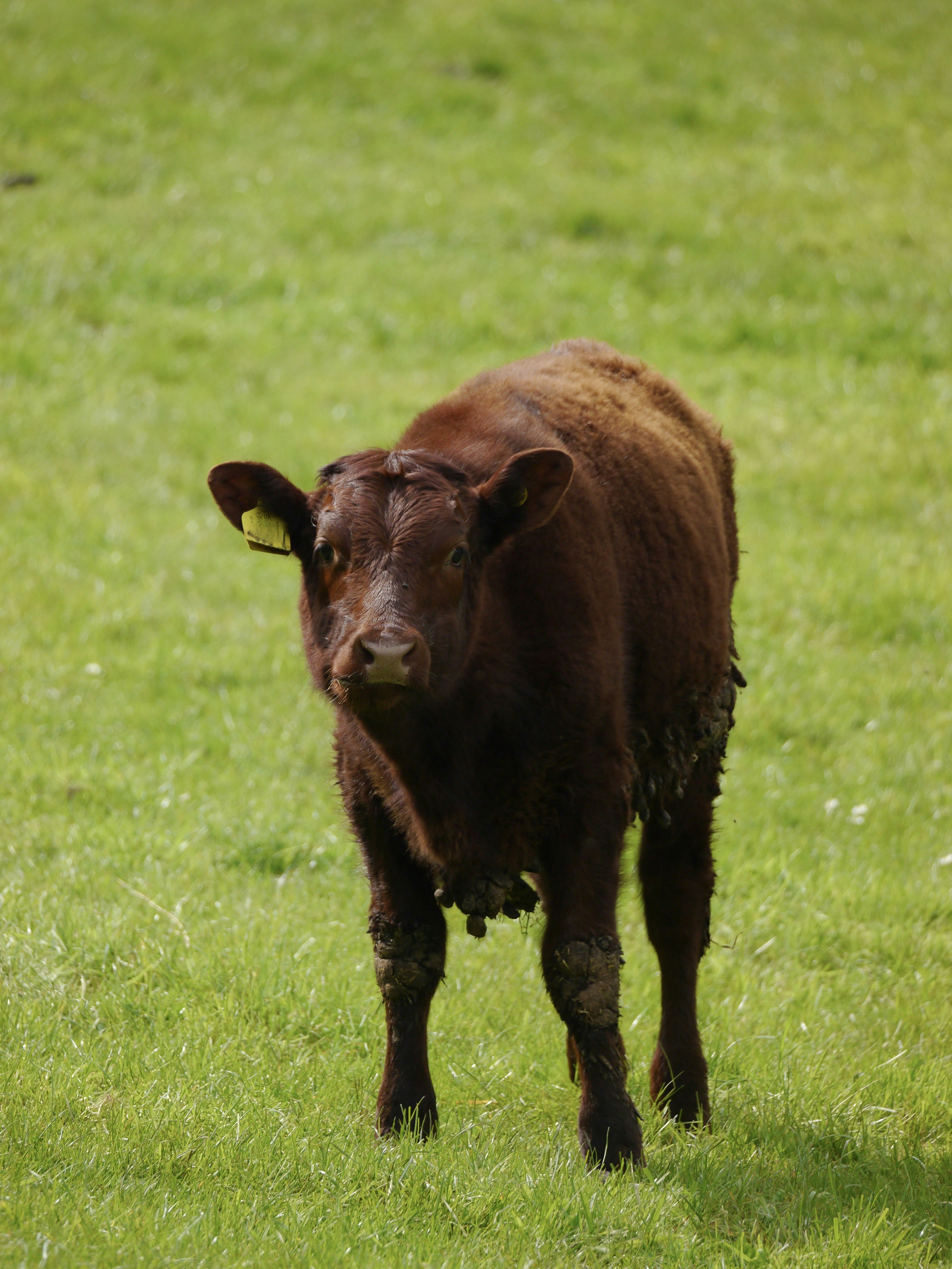 Photo by iqsphotography