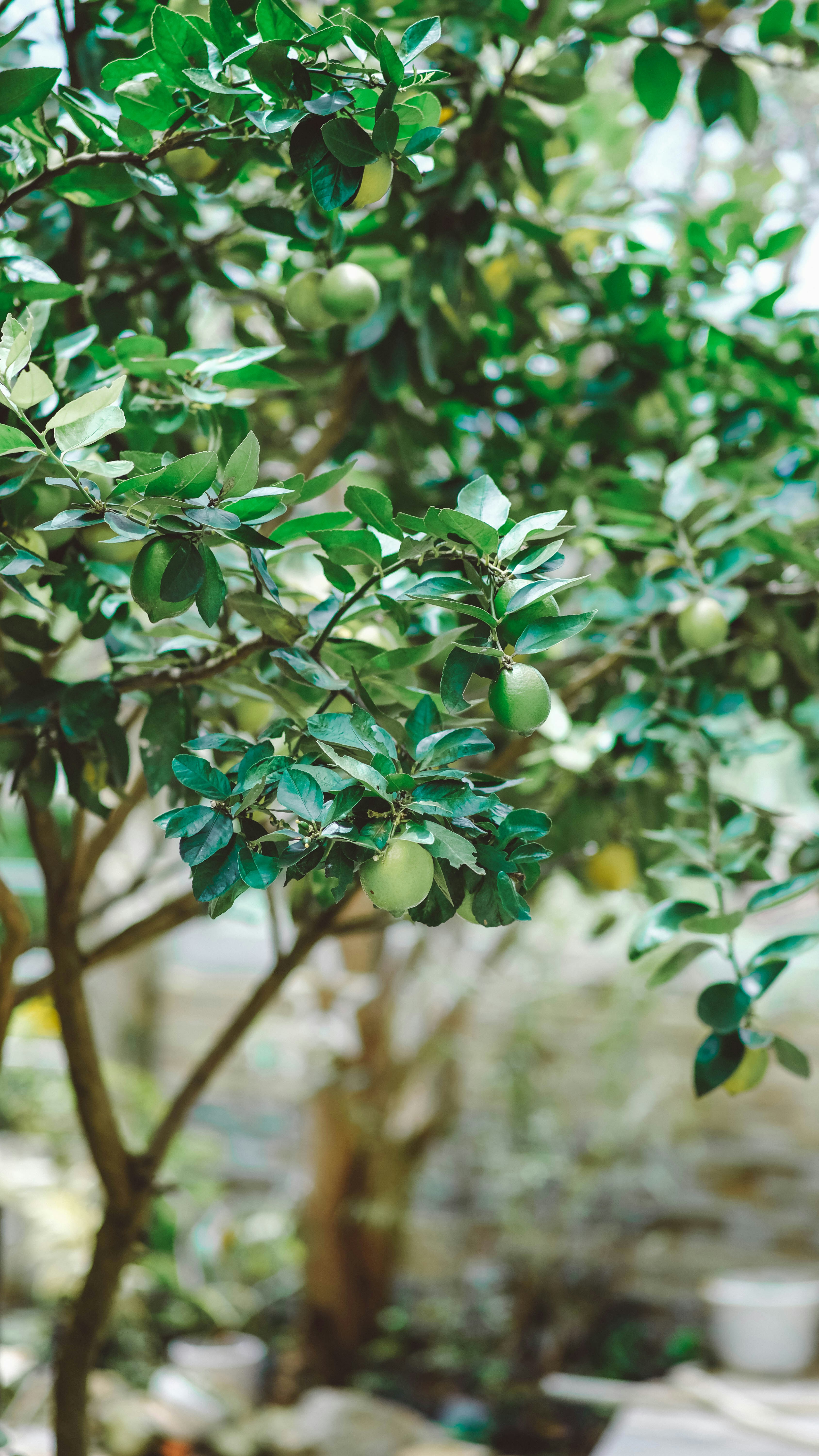 Photo by anniehatuanh