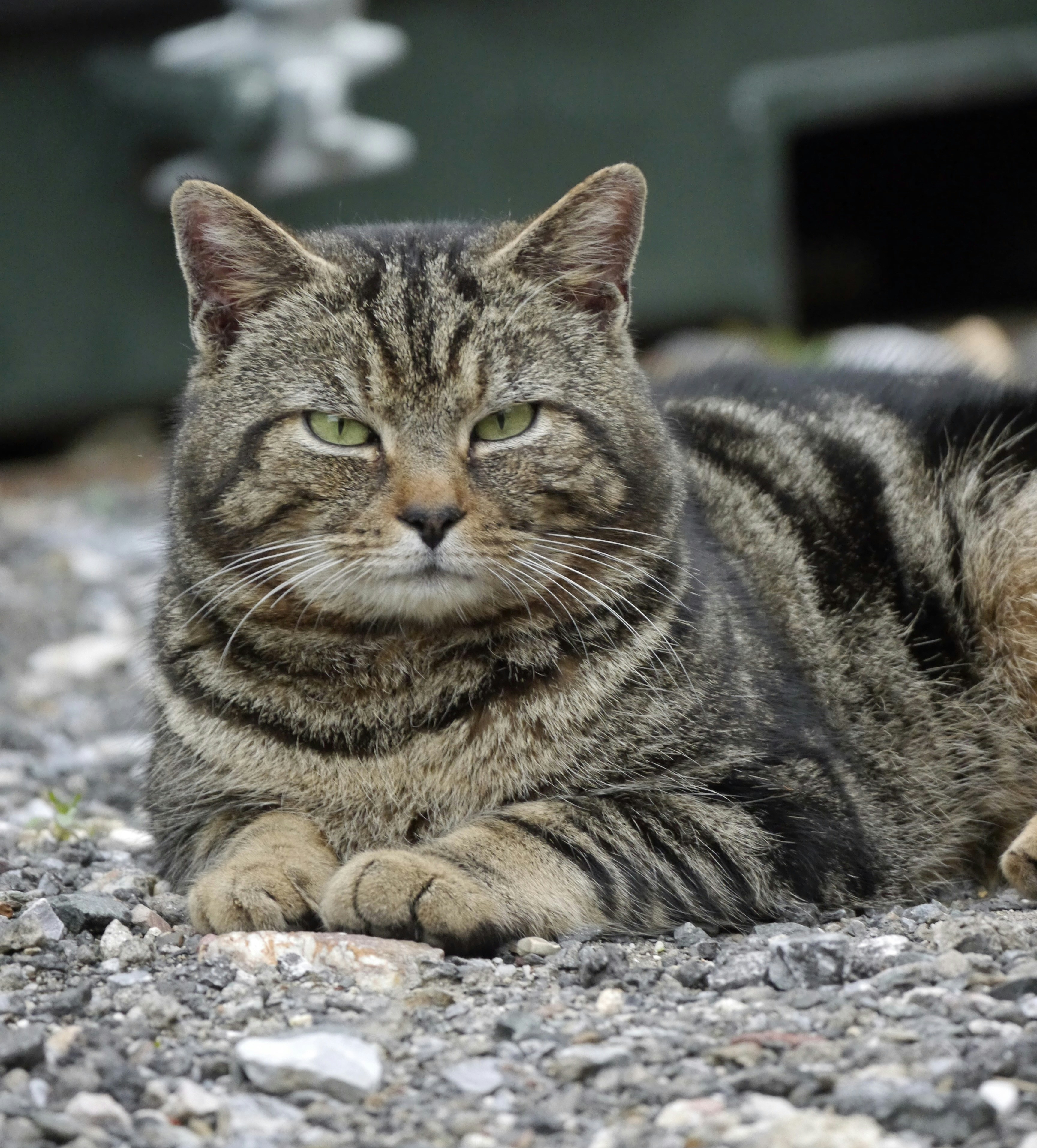 Photo by iqsphotography