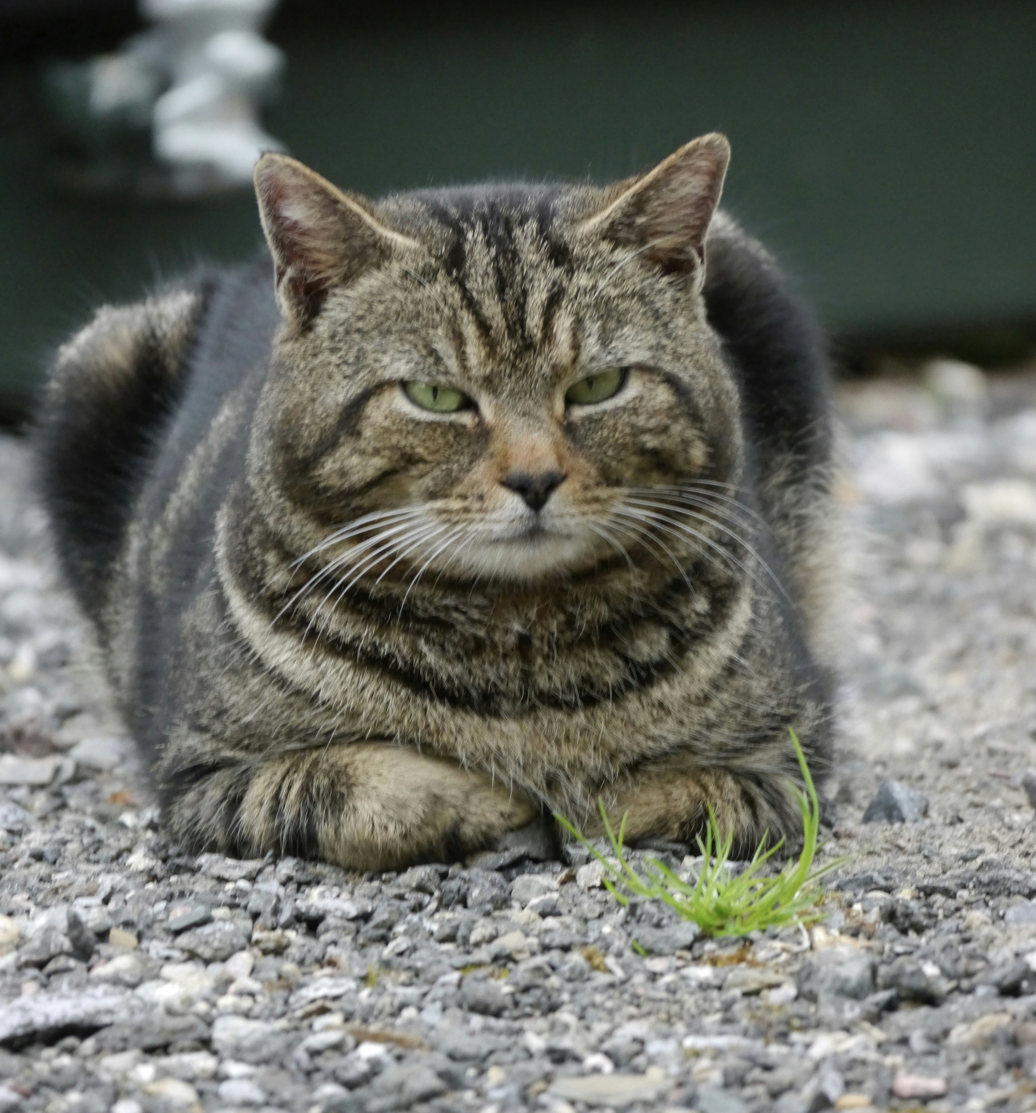 Photo by iqsphotography