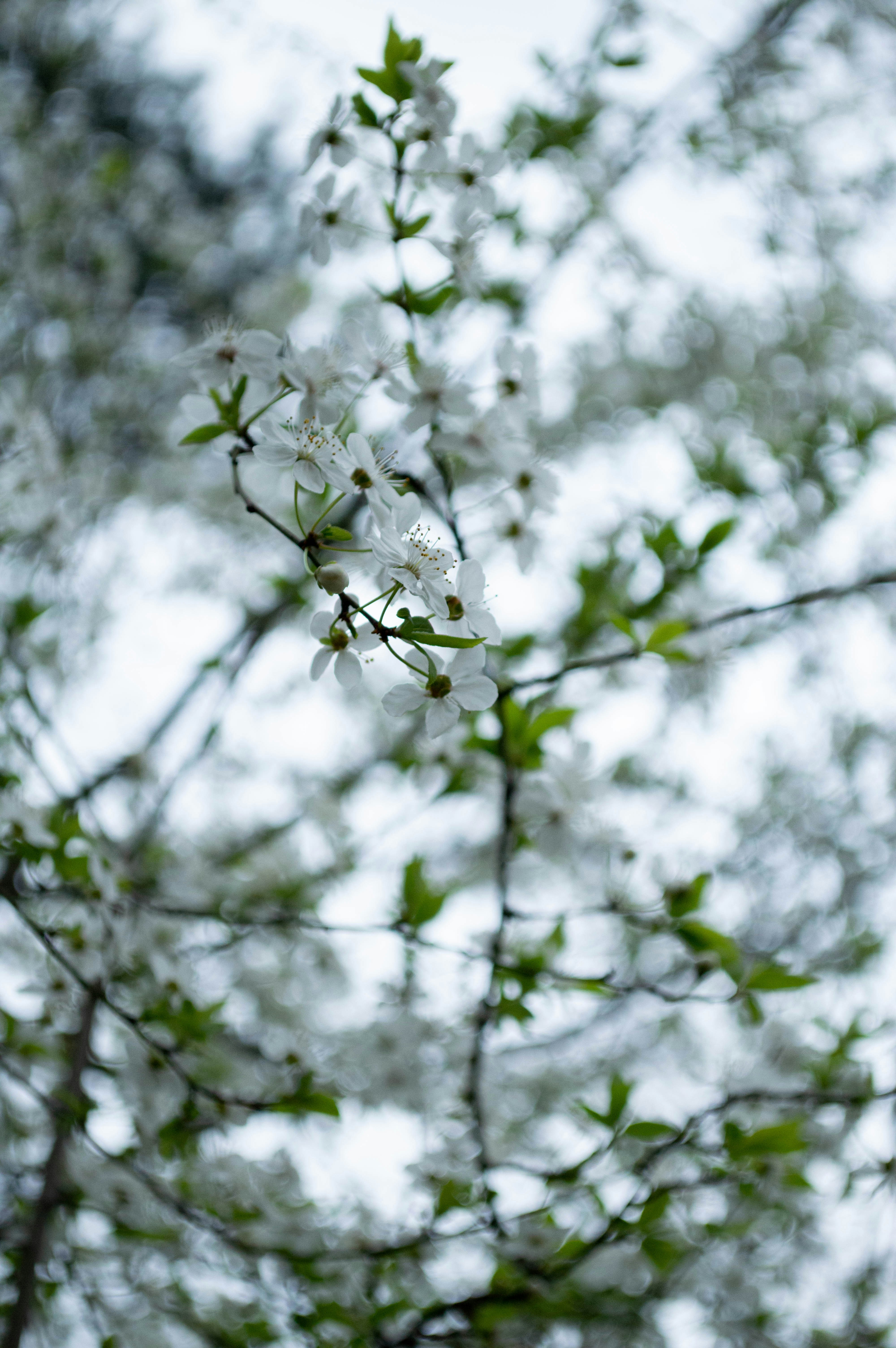 Photo by dmytrodovgan