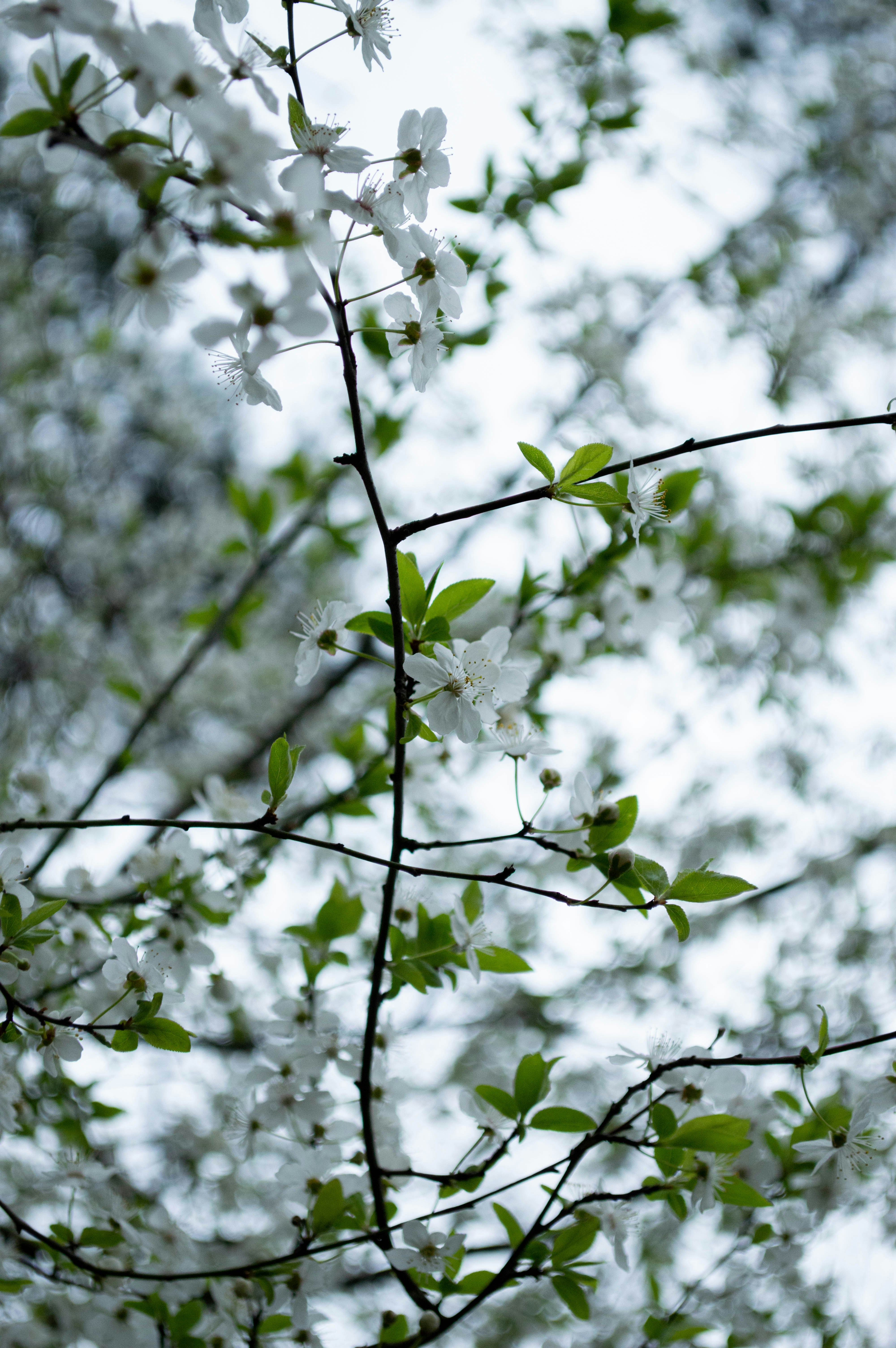 Photo by dmytrodovgan