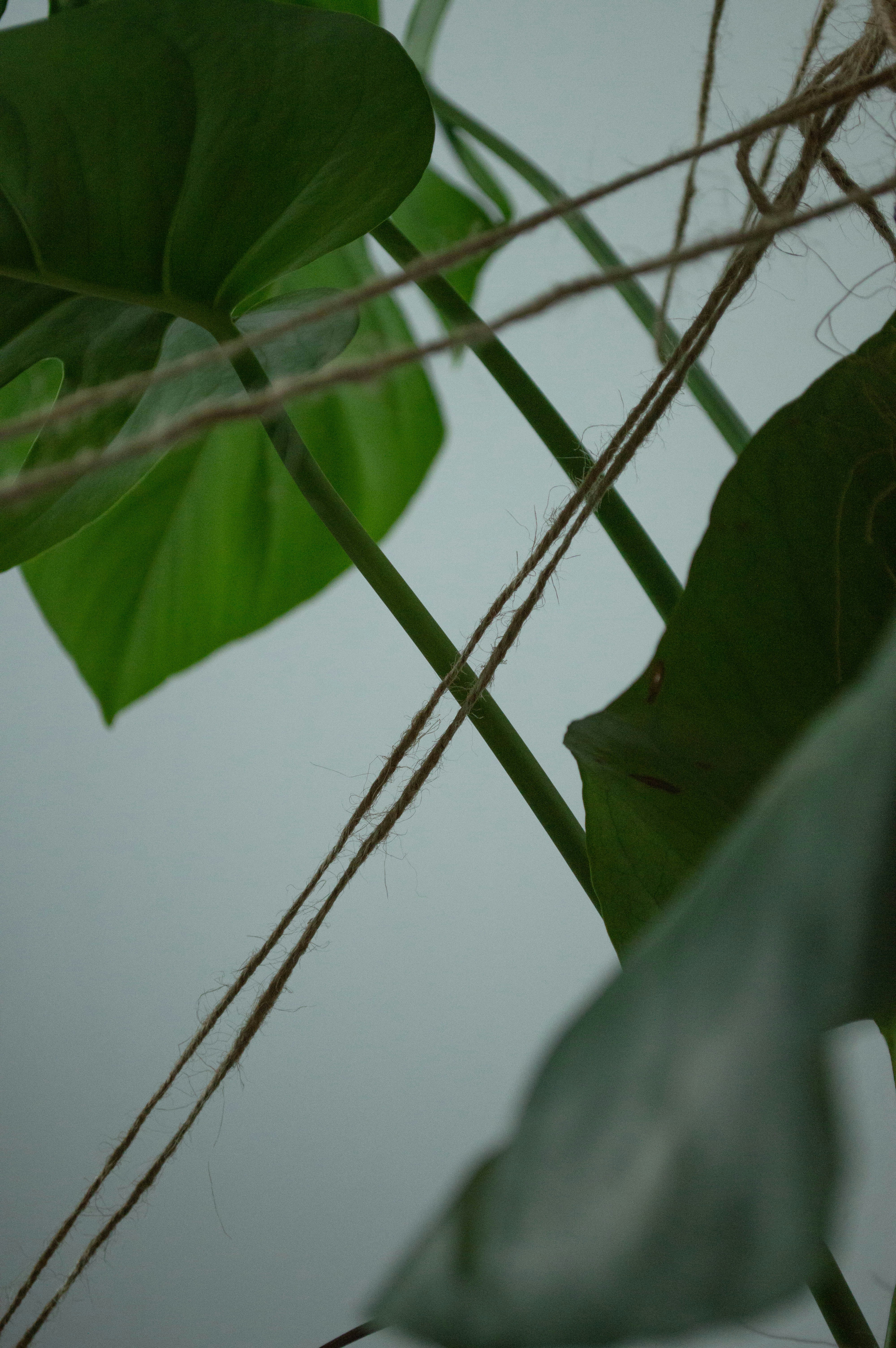 Photo by dmytrodovgan