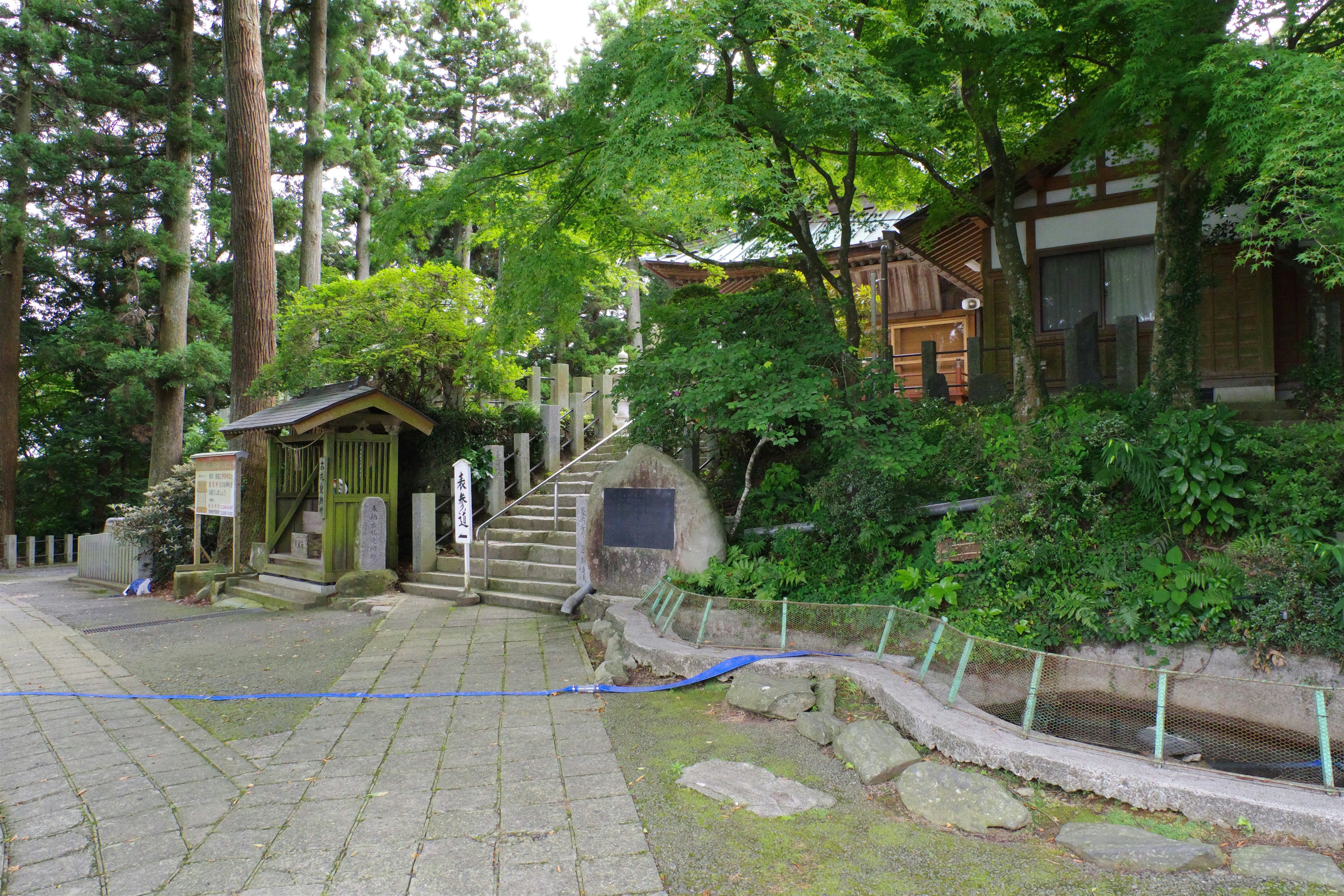A street with a bunch of trees and buildings