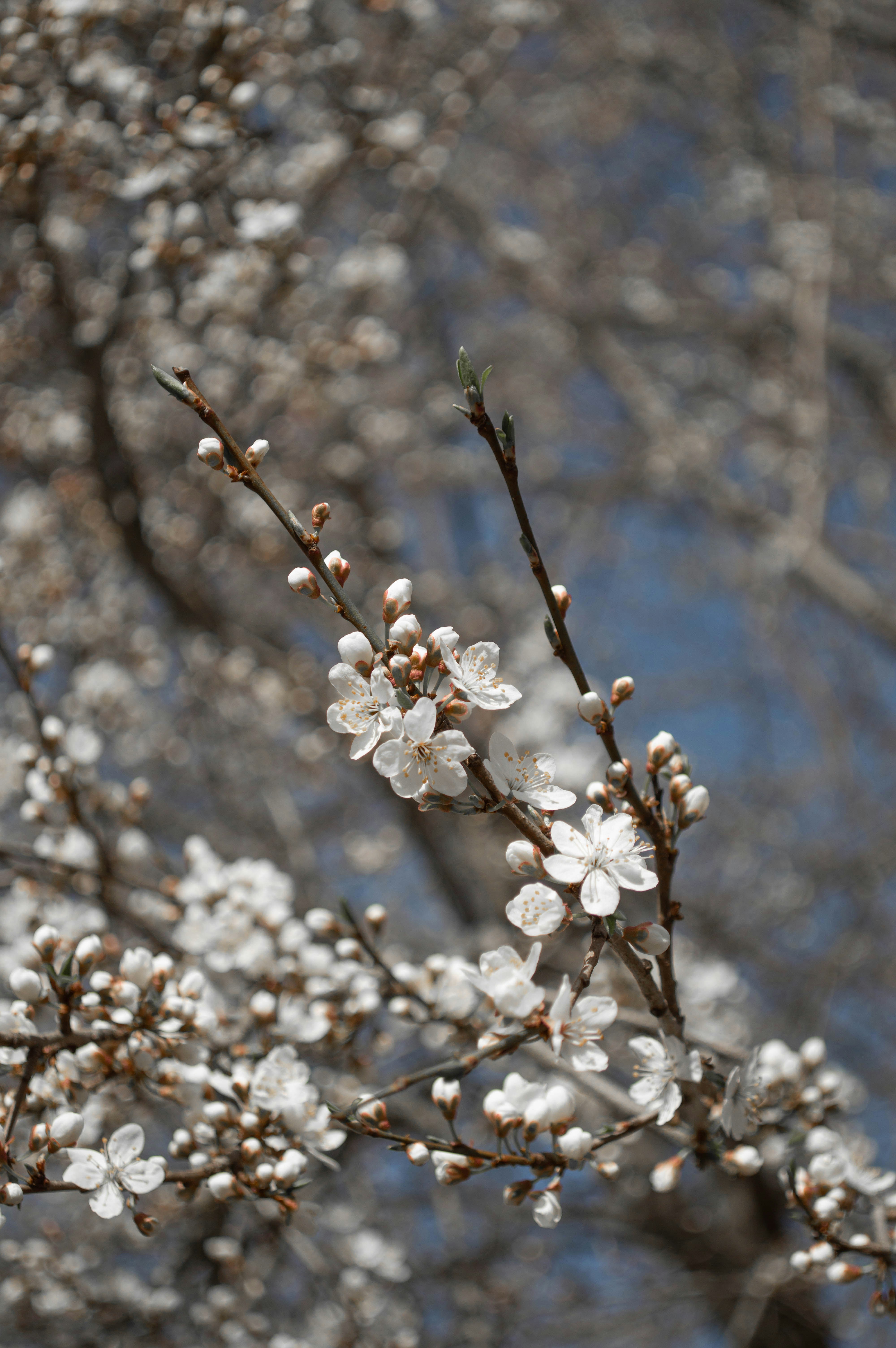 Photo by dmytrodovgan