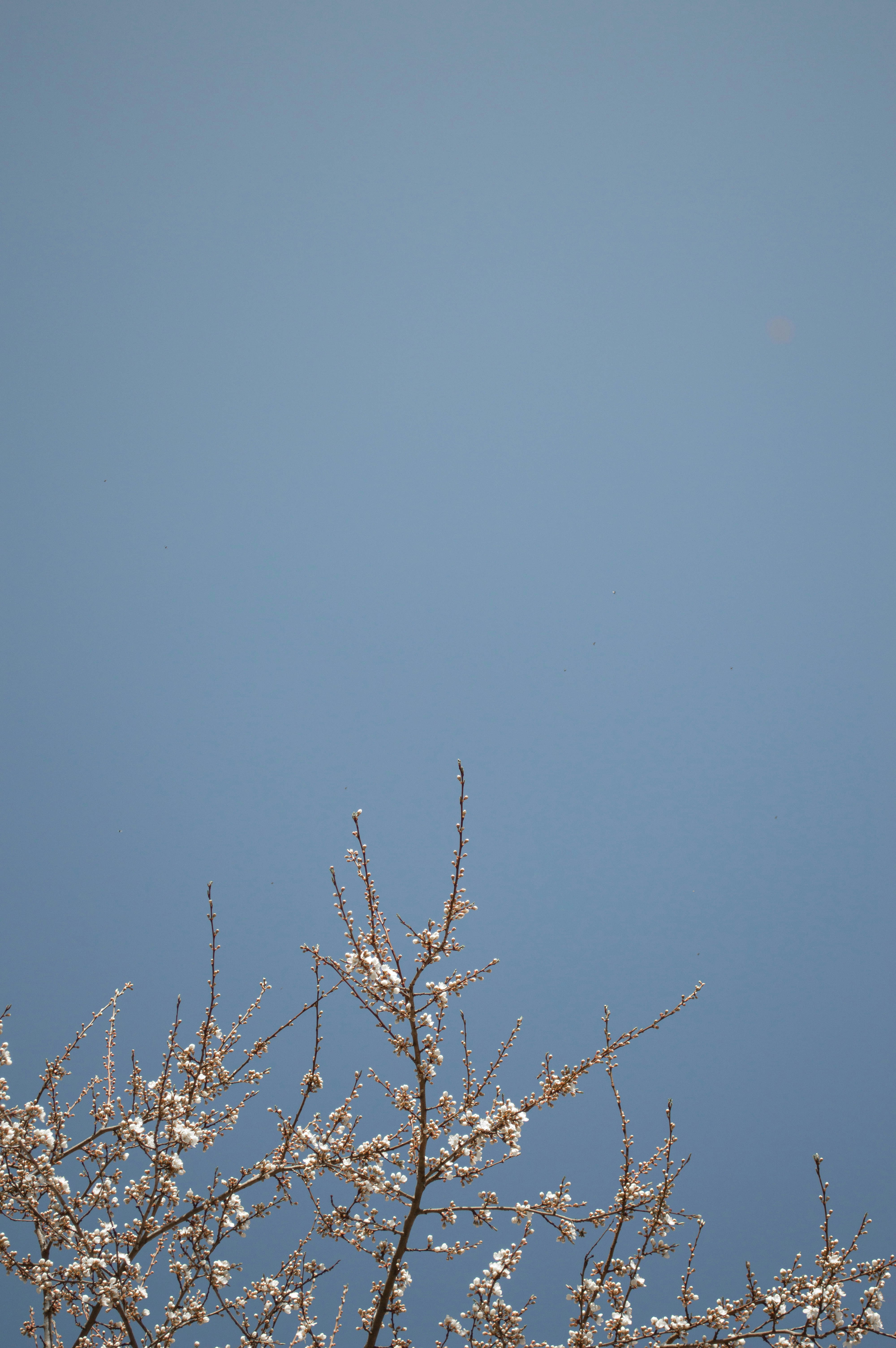 Photo by dmytrodovgan