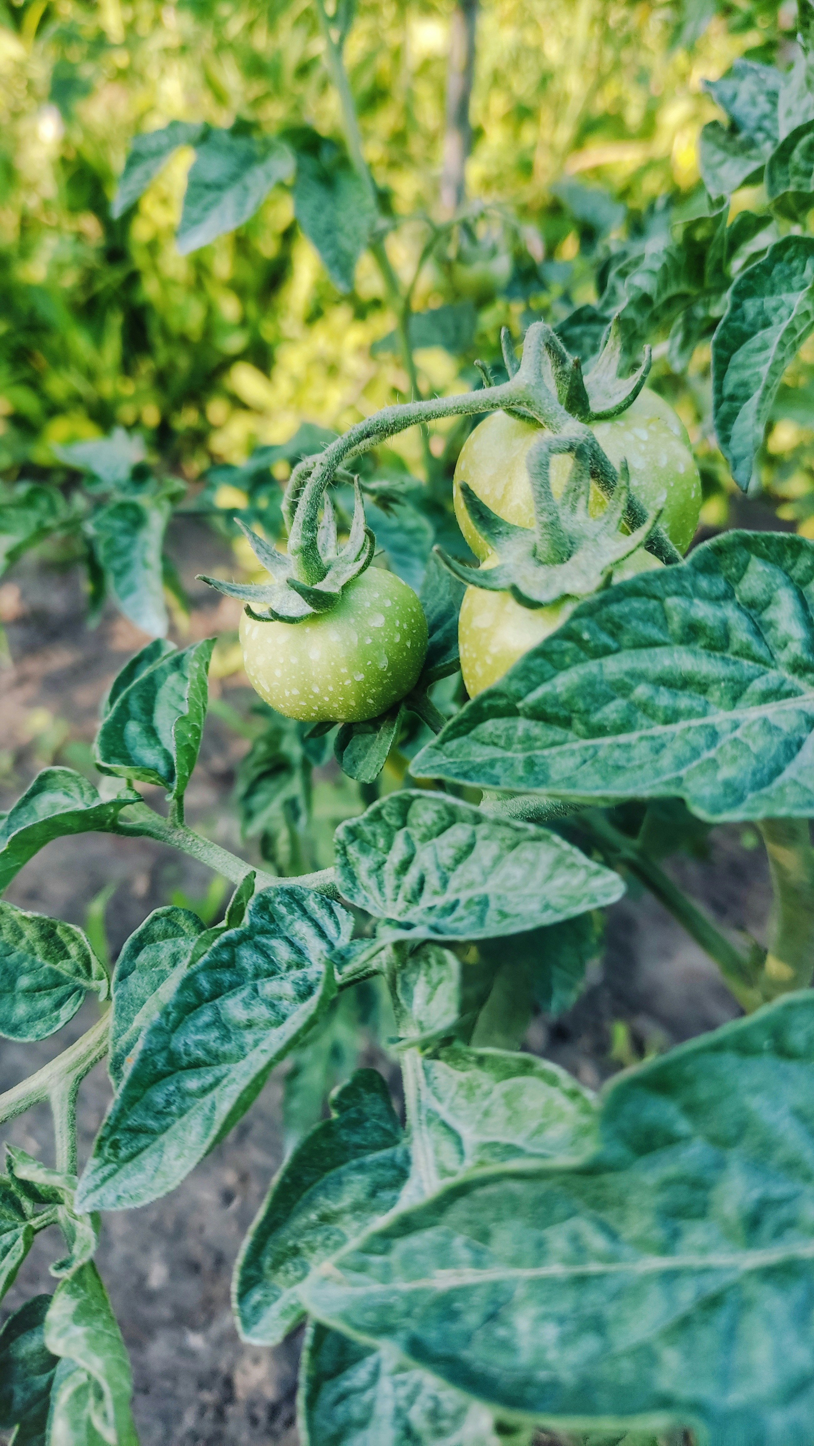 Photo by ds_graphicdesign