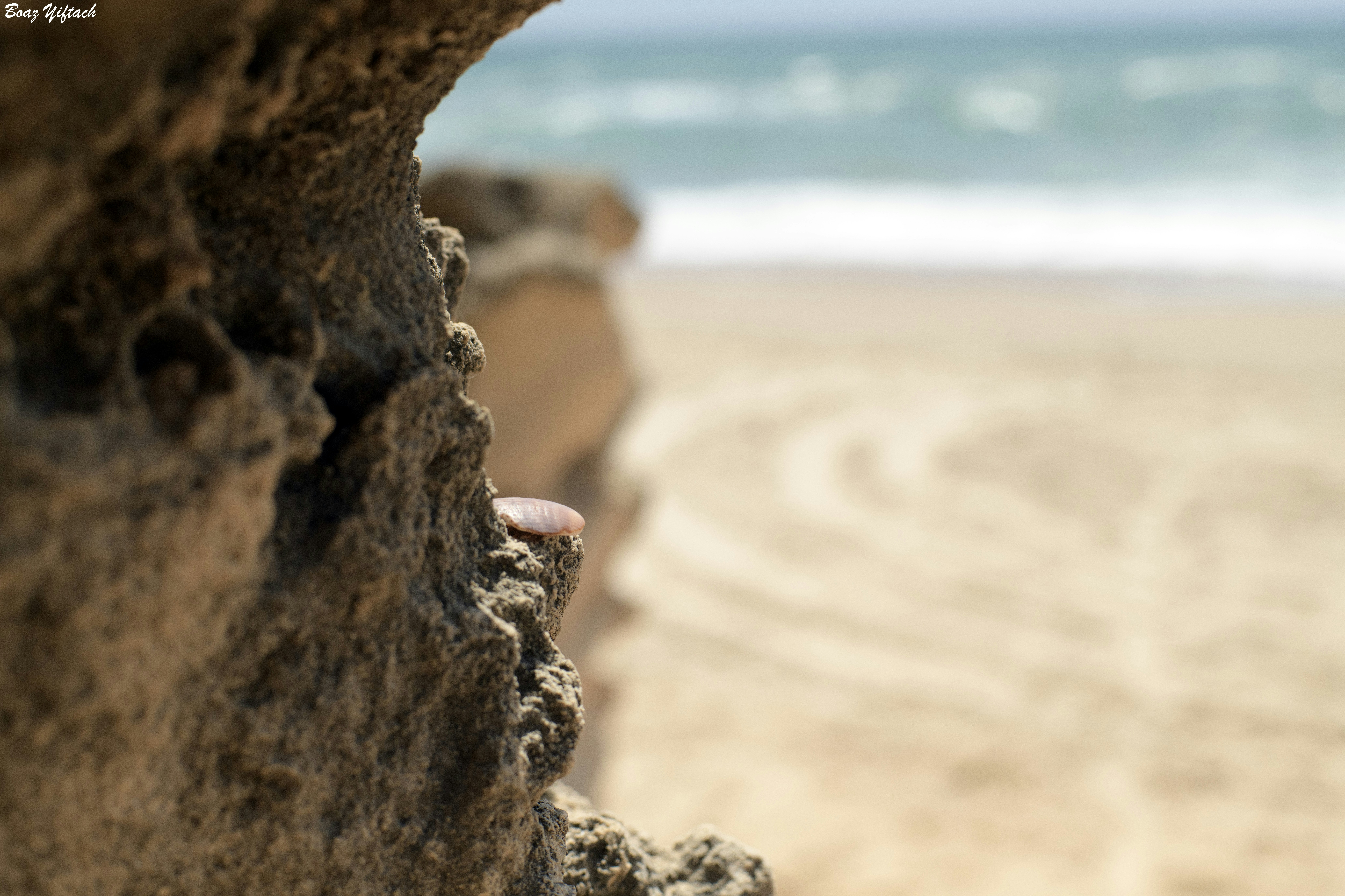 A close up of a person's hand on the beach