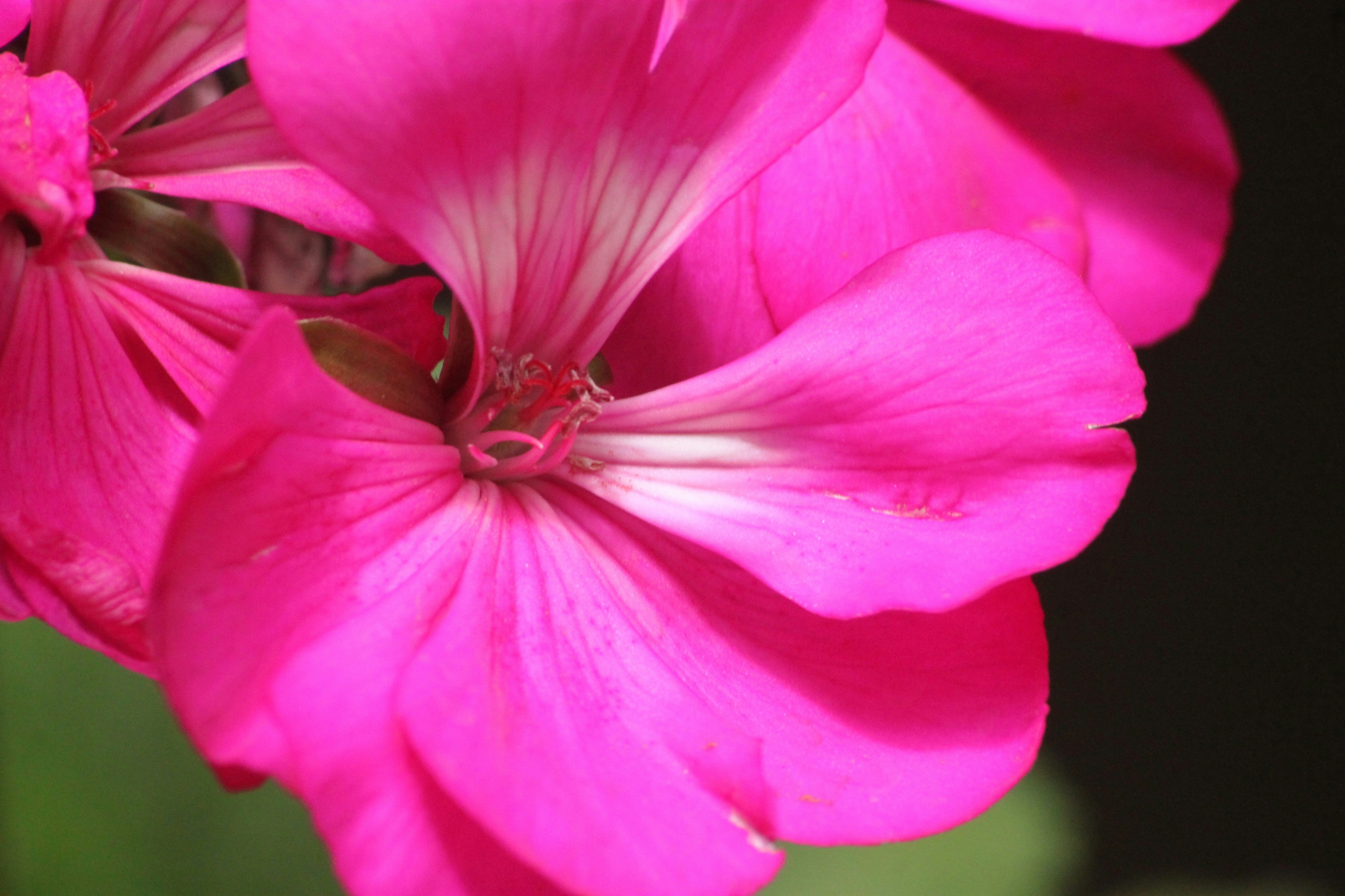 Photo by rahul_saraf