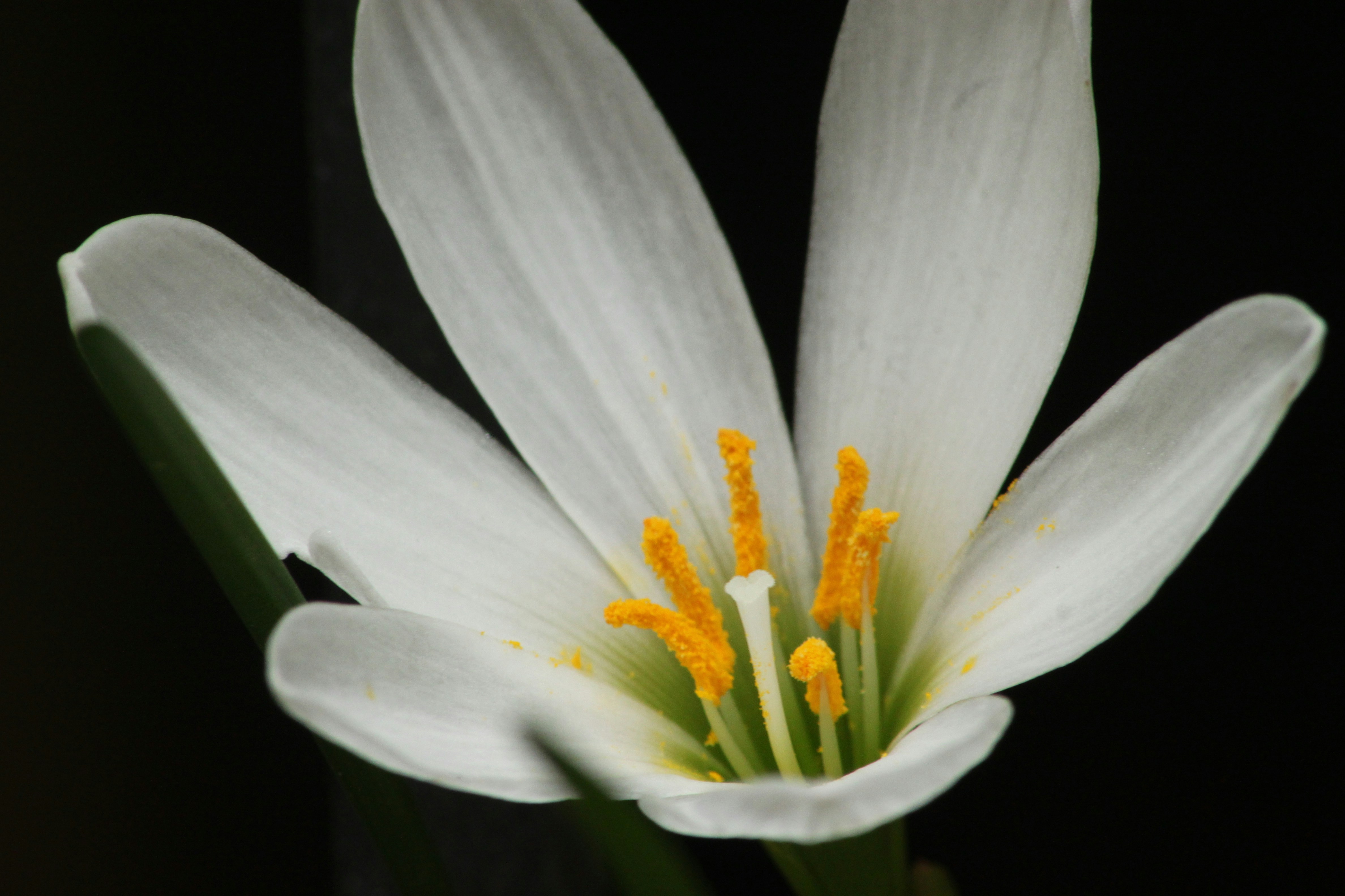 Photo by rahul_saraf