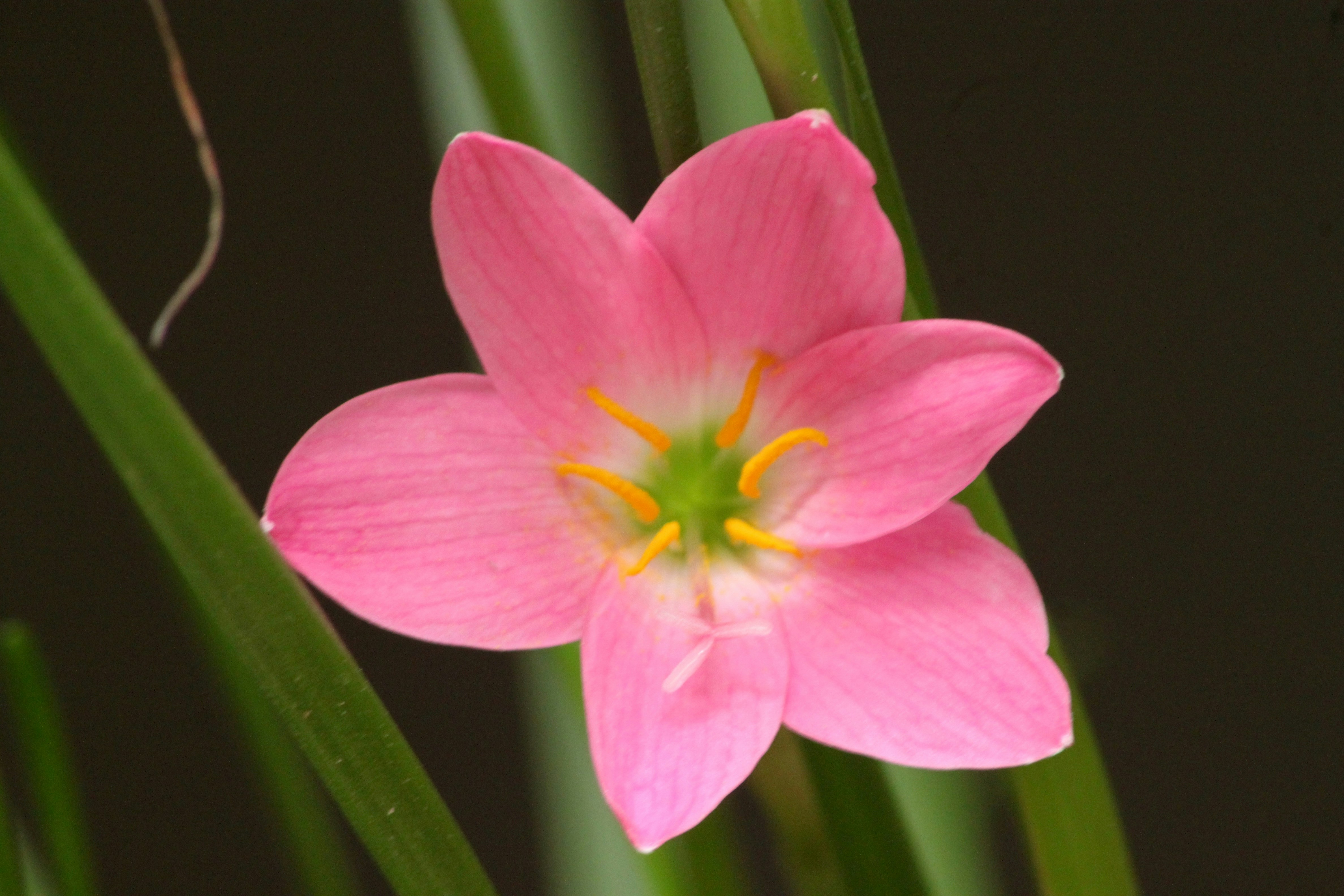 Photo by rahul_saraf