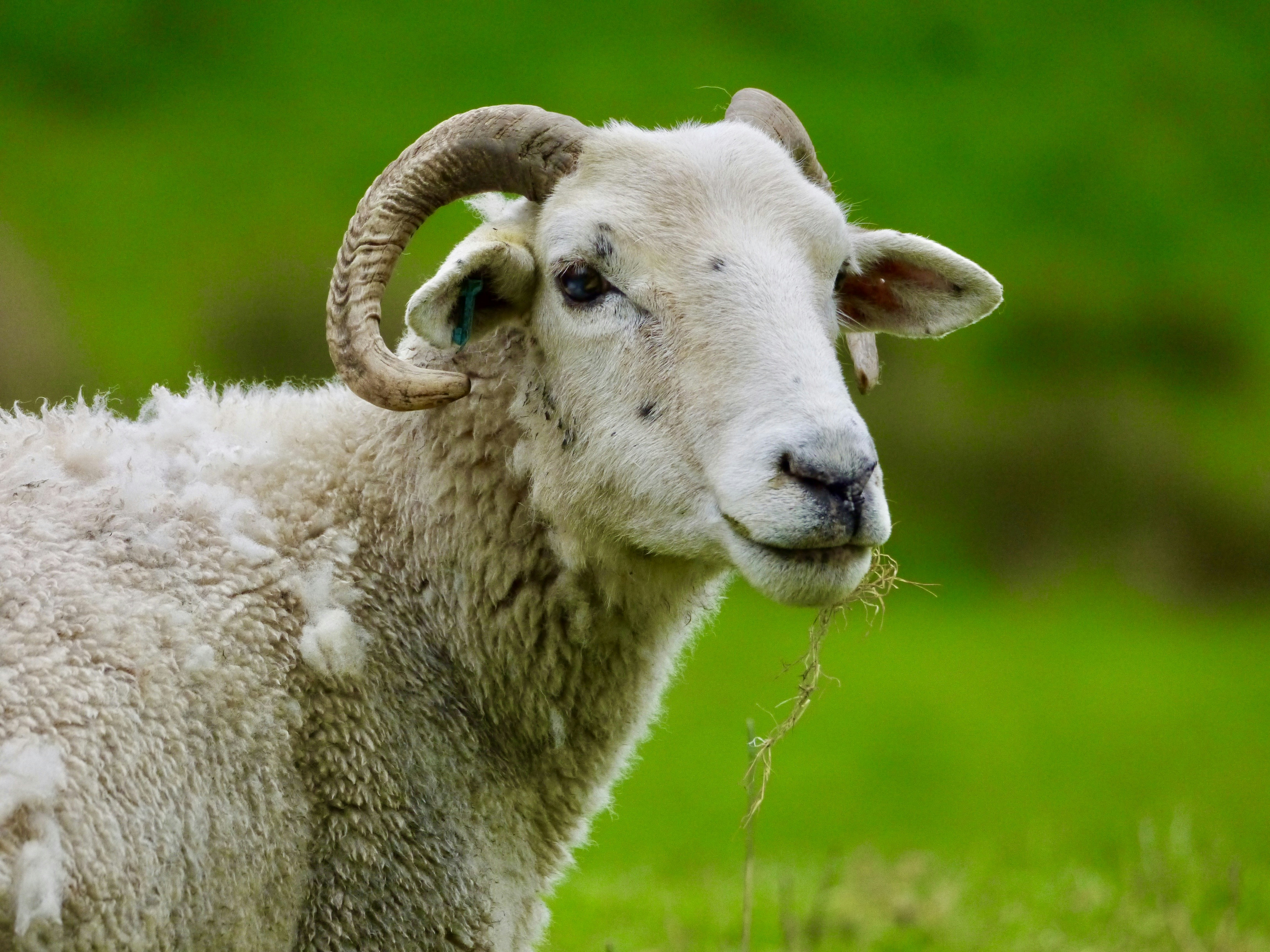 Photo by iqsphotography