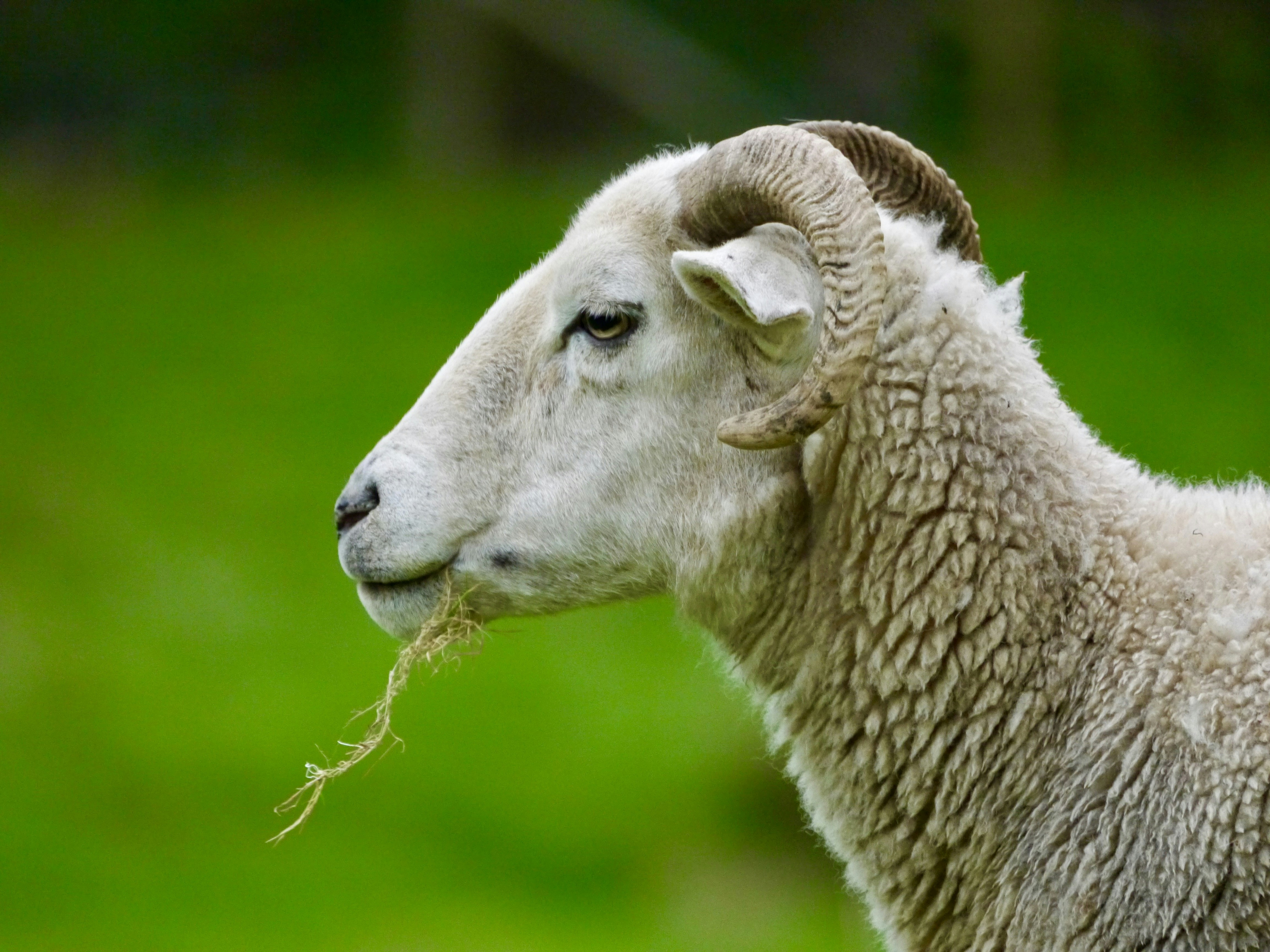 Photo by iqsphotography