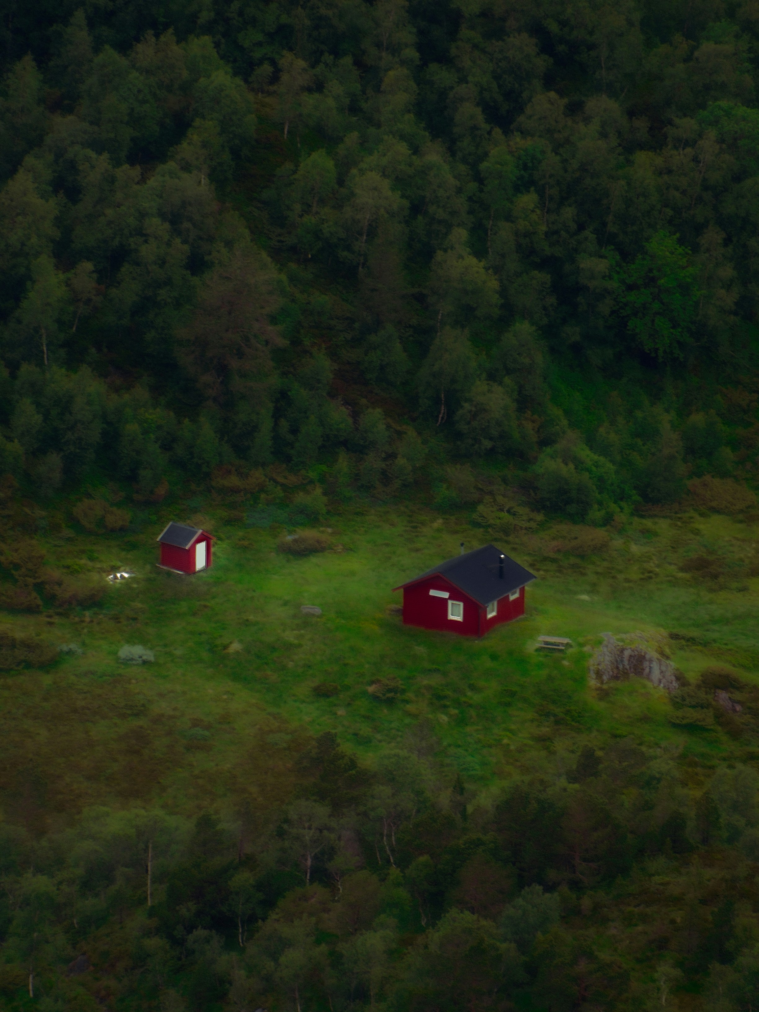 Photo by harry3kingo