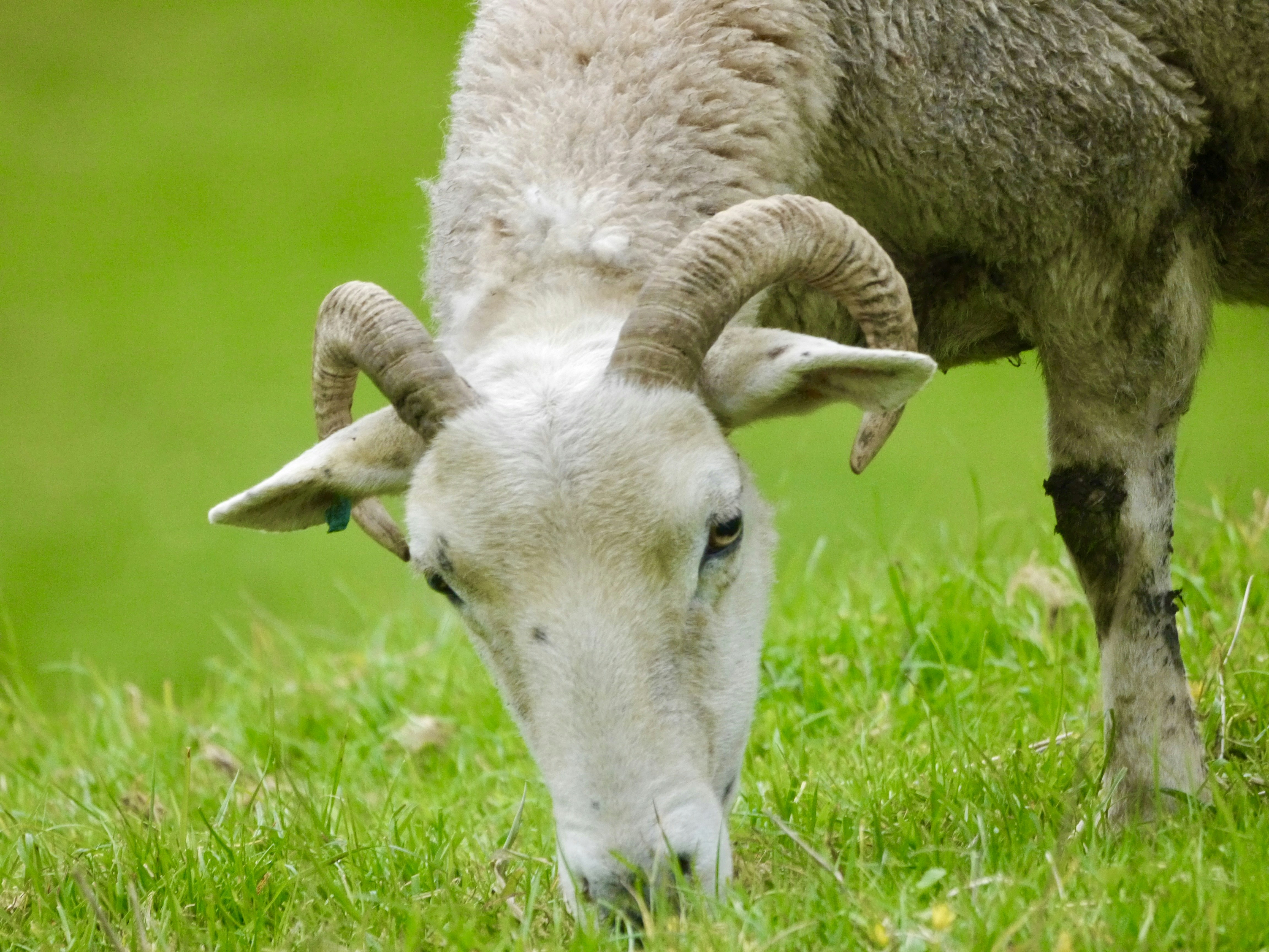 Photo by iqsphotography