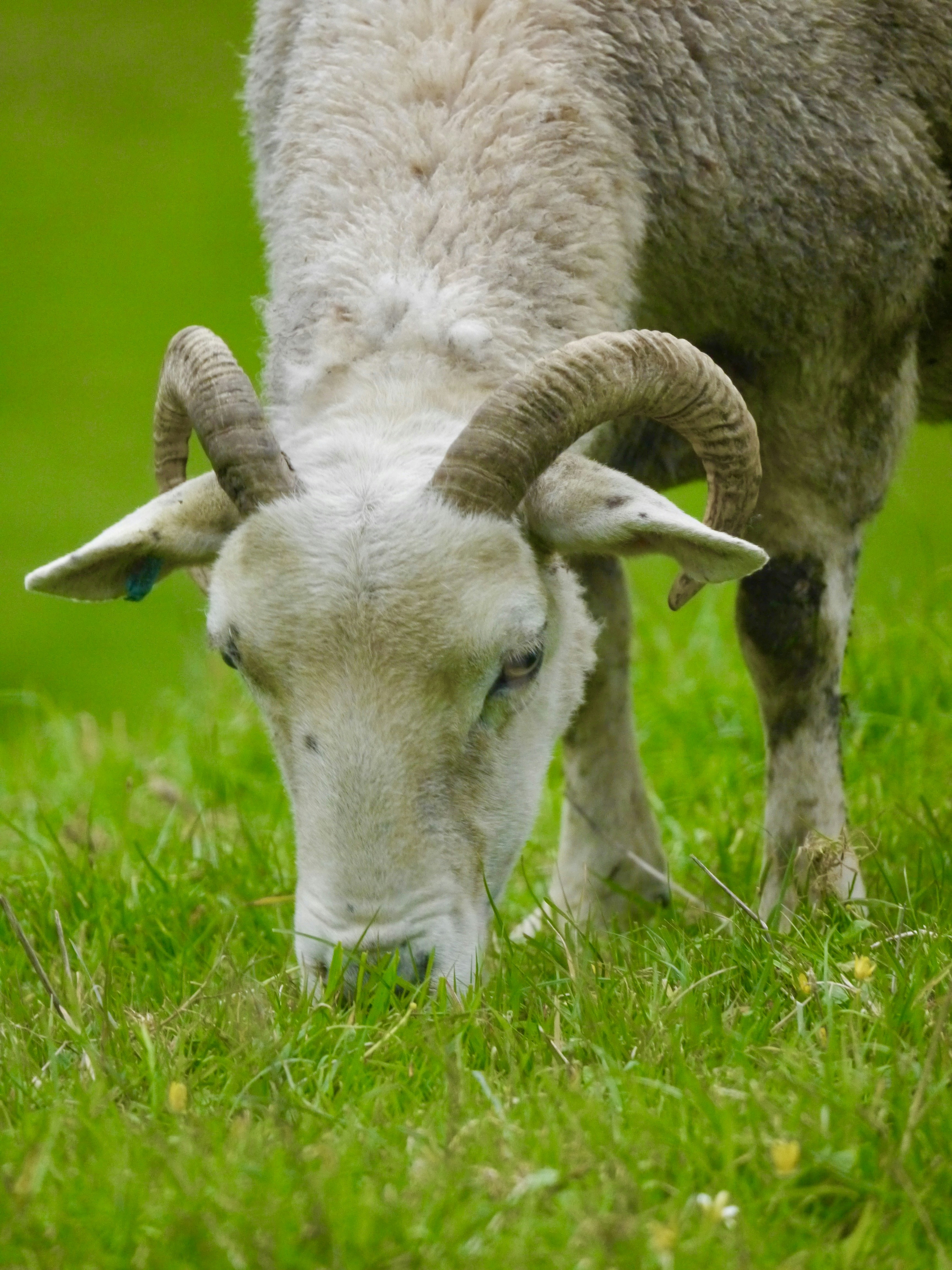 Photo by iqsphotography