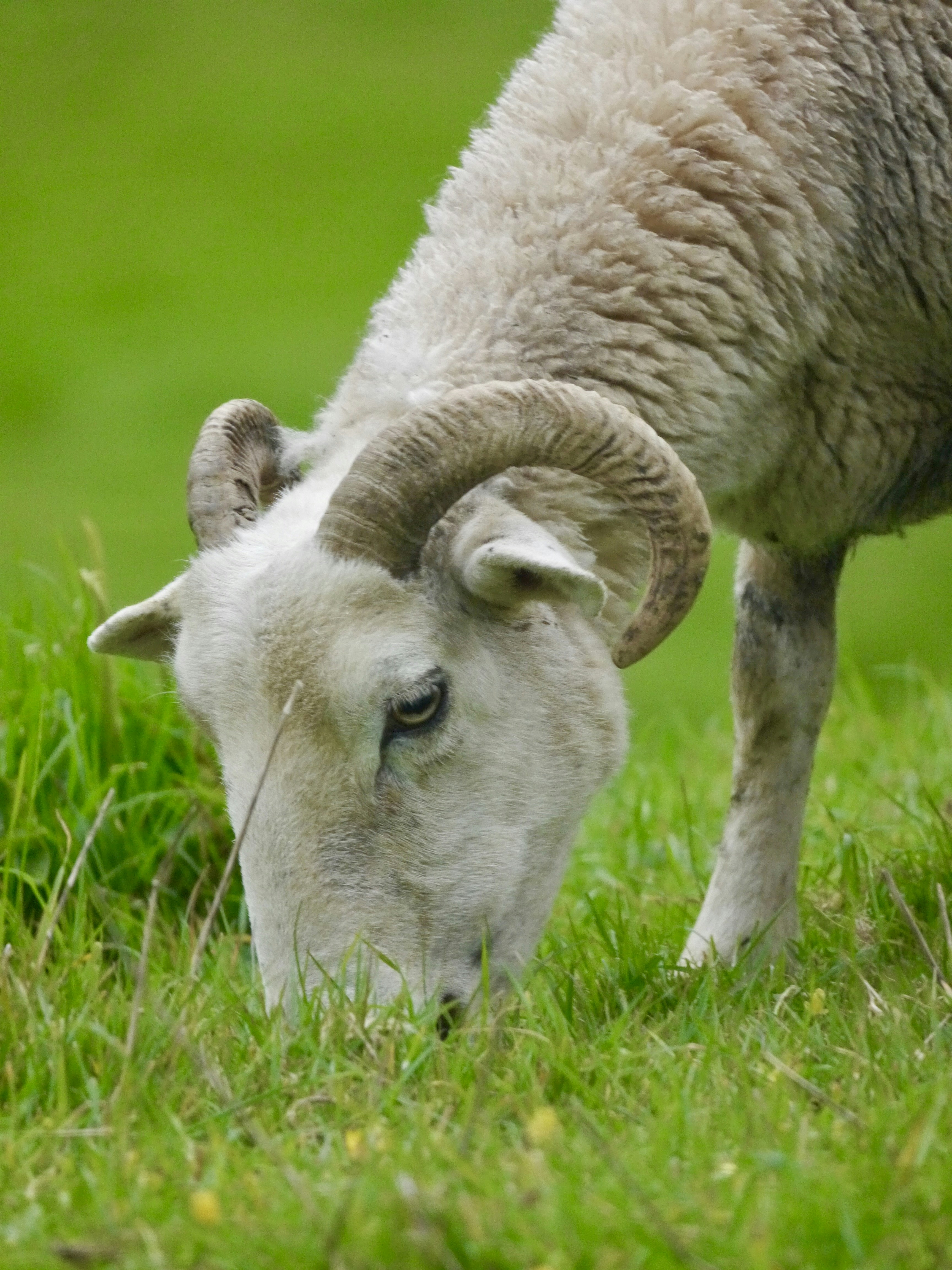 Photo by iqsphotography