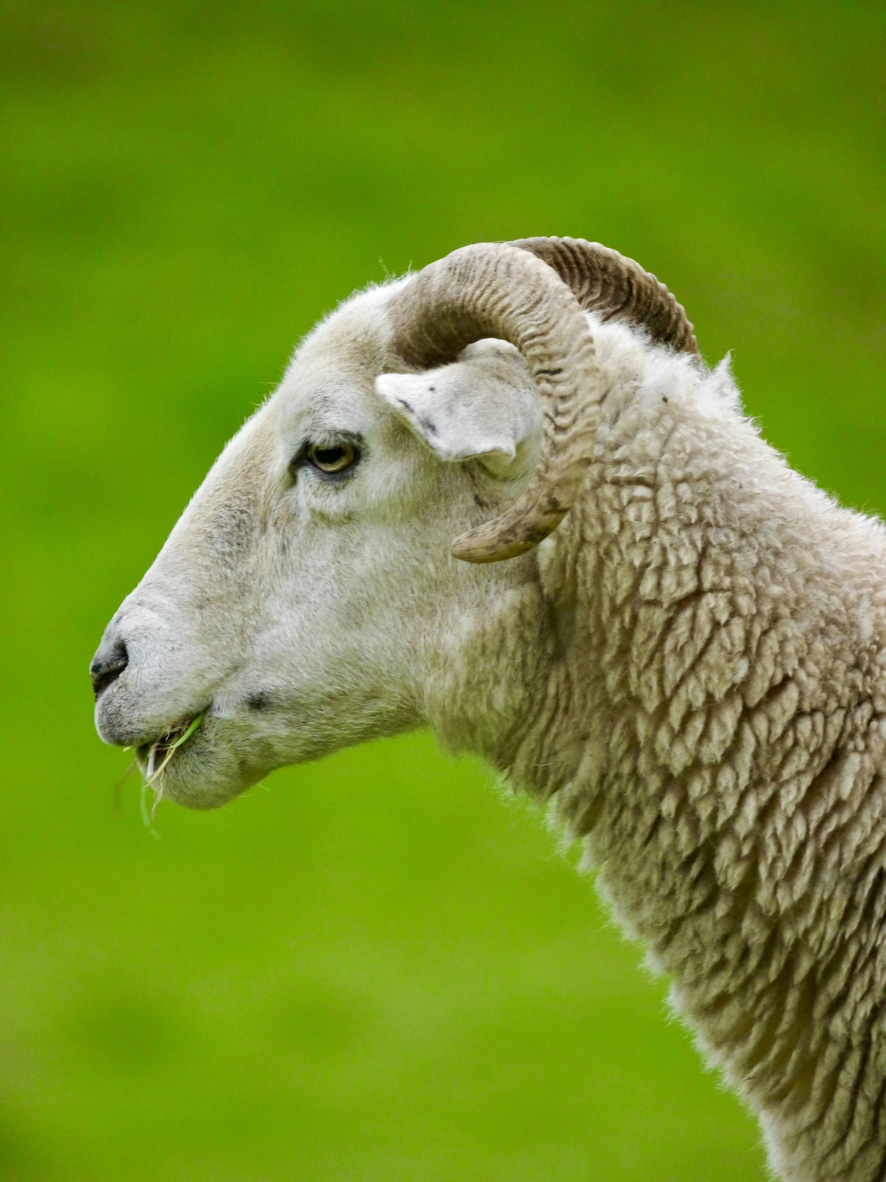 Photo by iqsphotography