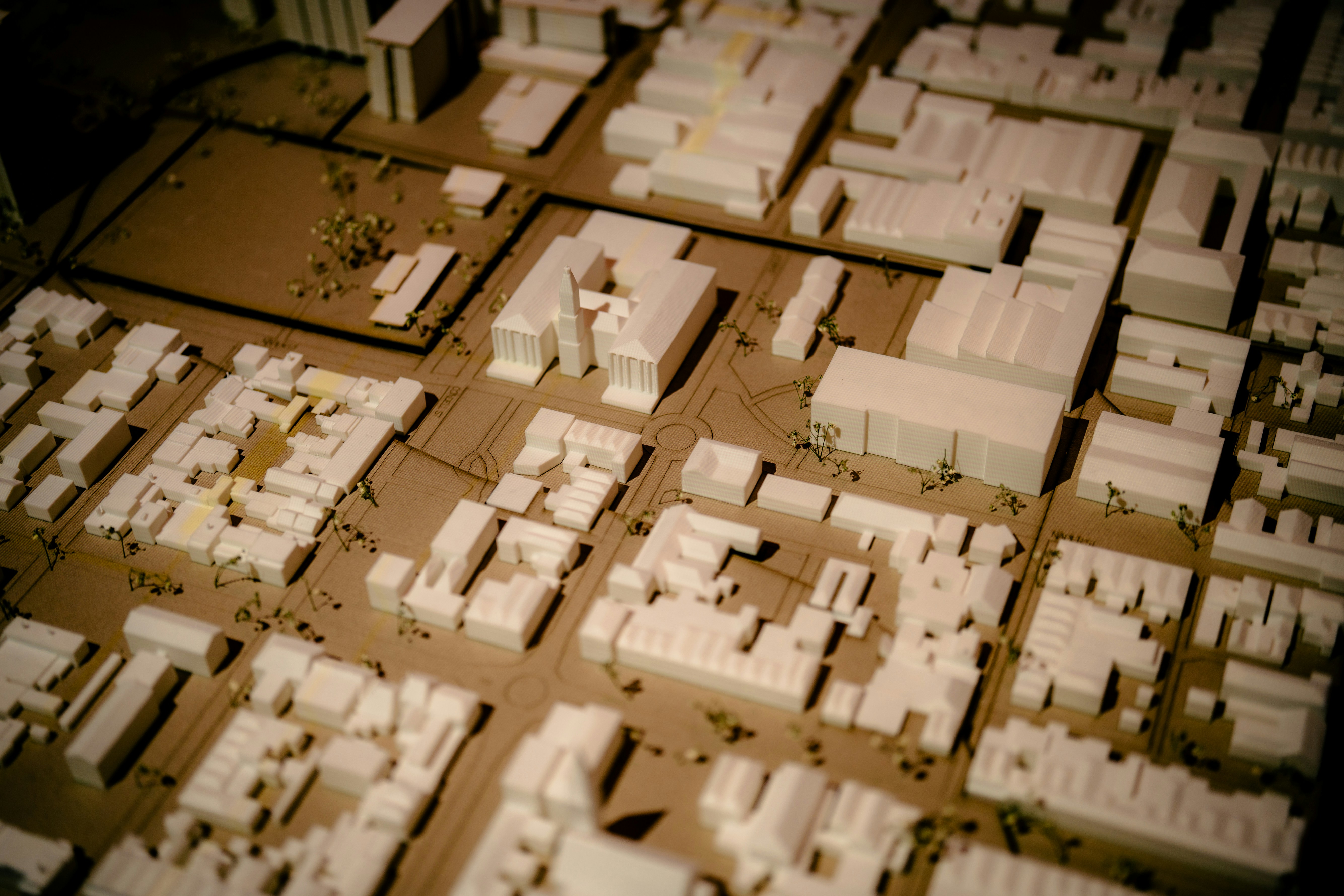 Photo by madeline_sd