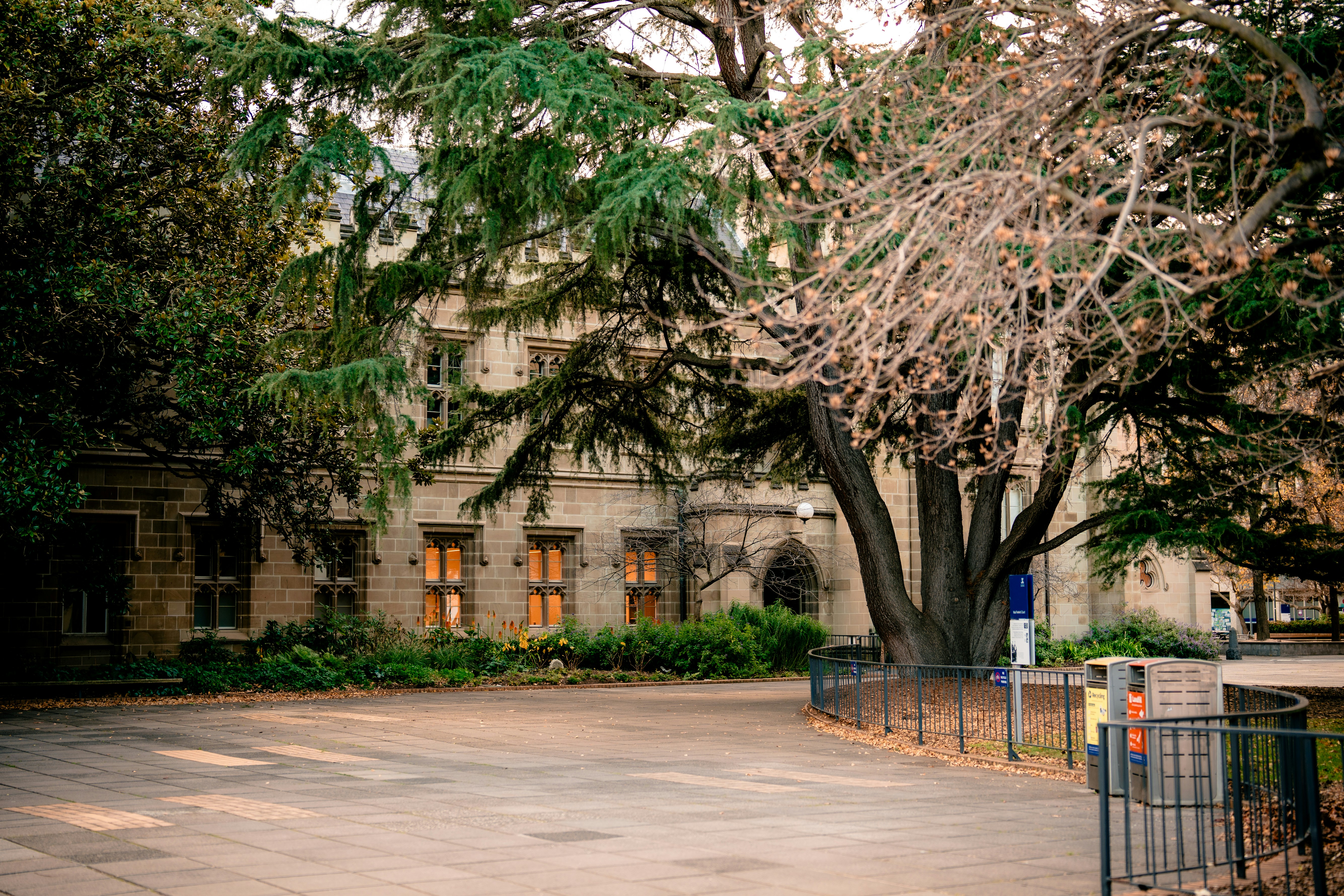 Photo by madeline_sd