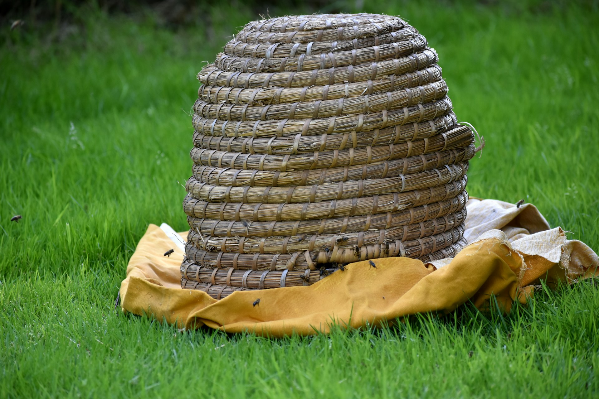 A straw hat sitting on top of a green field